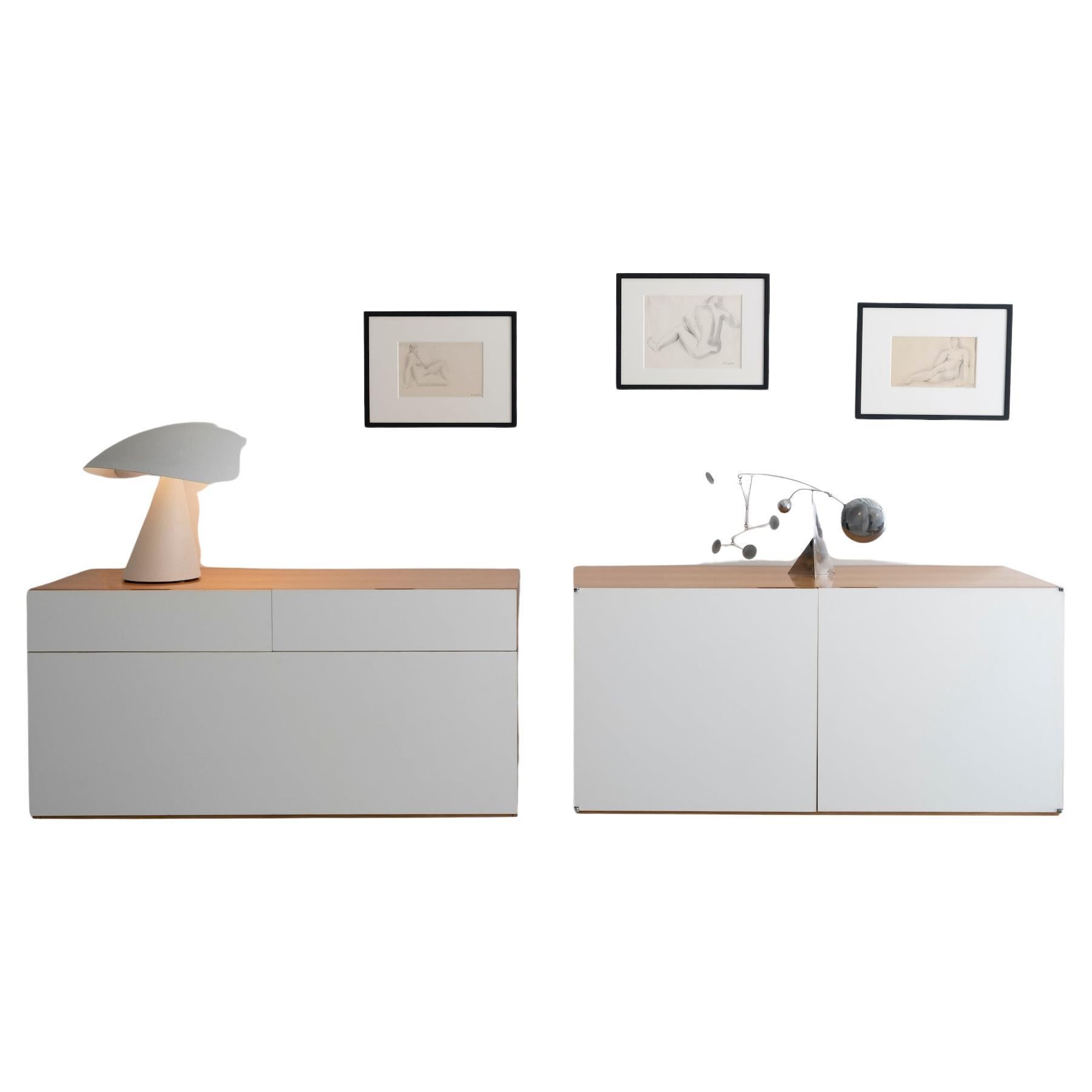 Antoine PHILIPPON et Jacqueline LECOQ  Paire de buffets suspendus Elegance en vente