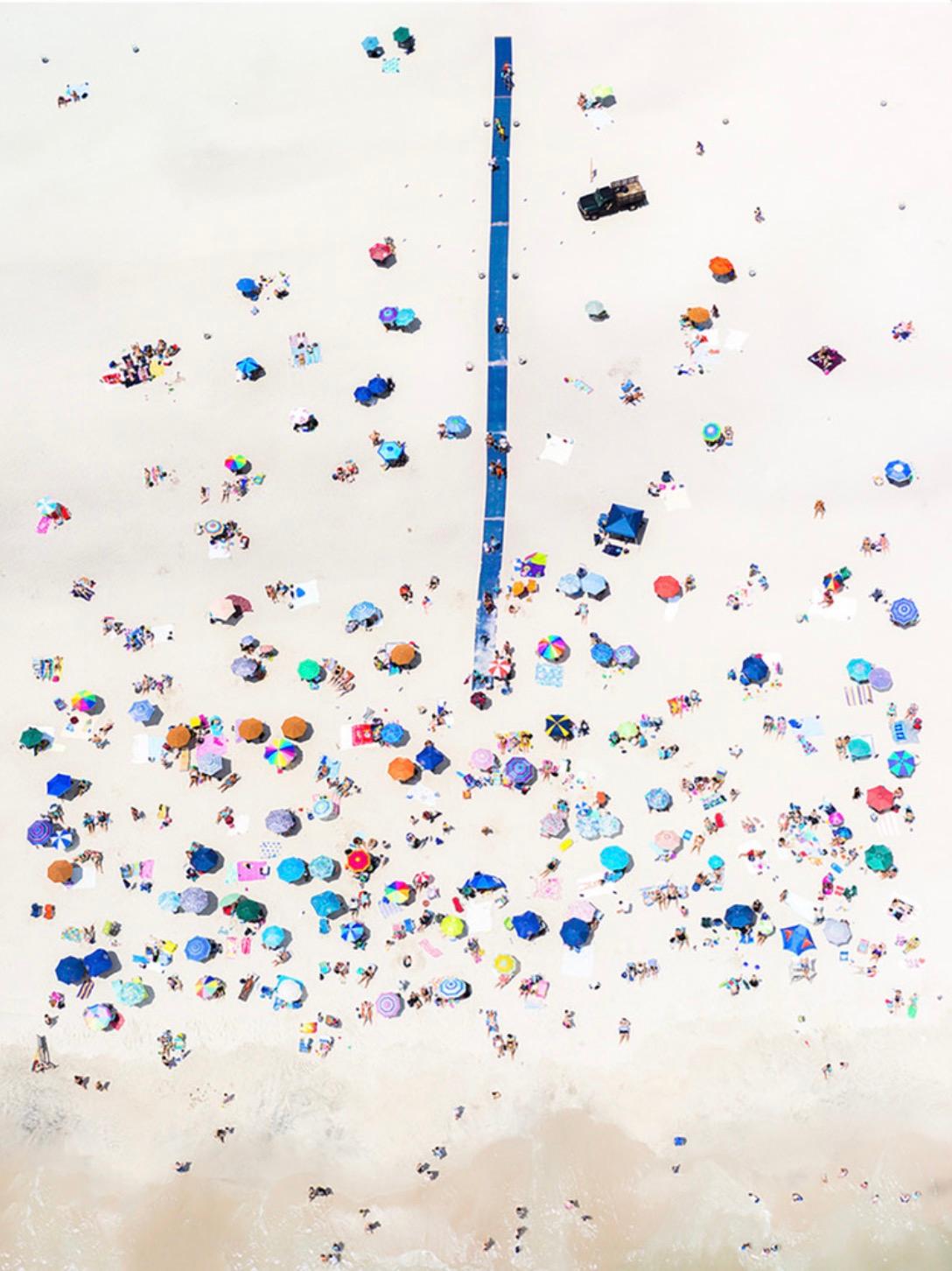 Color Photograph de Antoine Rose - Sendero del Insectario