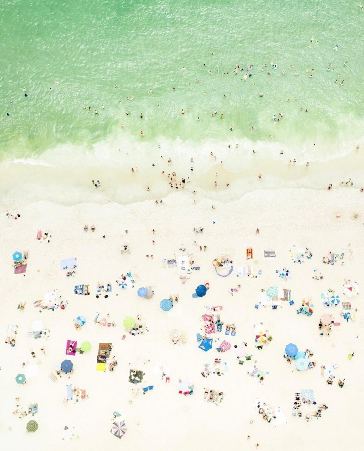 Antoine Rose Color Photograph – Der Hai
