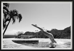 Ivory Rose Strzalkowski, Fotografia d'arte