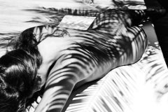 Palm in Tamarin - Limited Edition Fine Art Photography