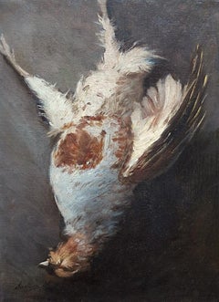 Graue Teilridge- Jagdtrophäe