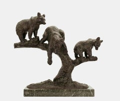 Group of bears on a tree / - The nature of the bears -