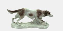 Pointer / - The elegance of the hunting dog -