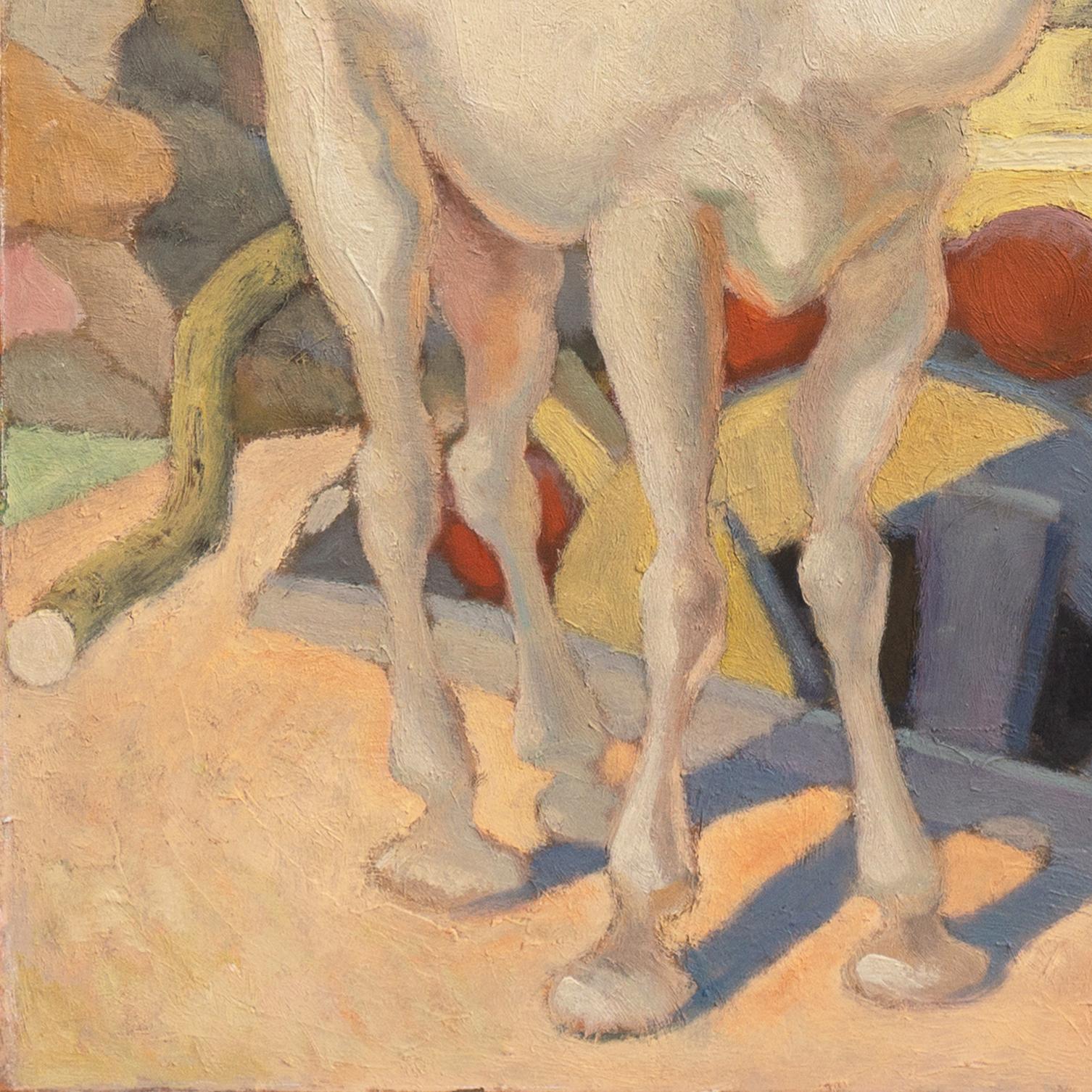 El Camello Blanco