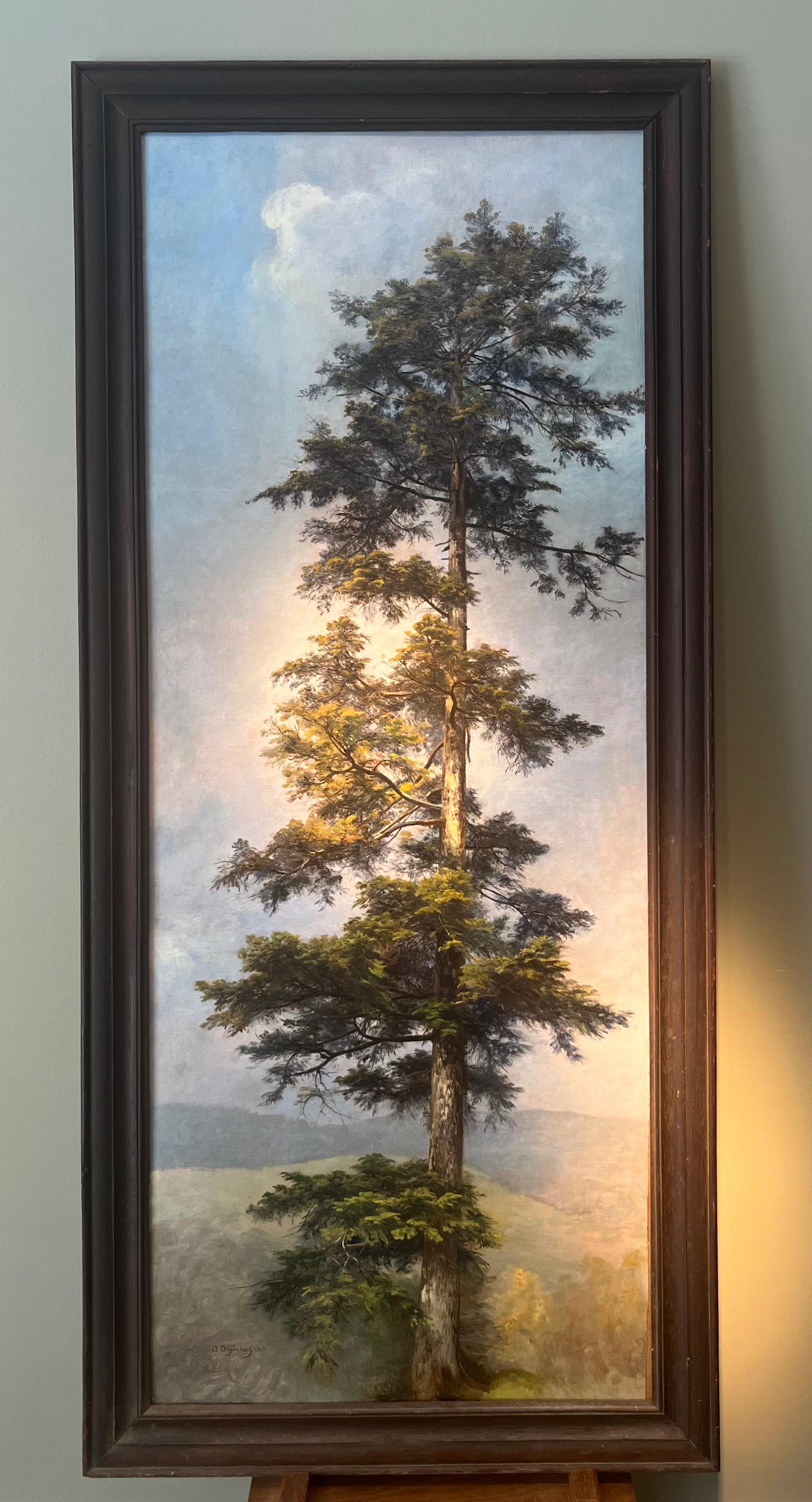 Anton DIEFFENBACH - Ritratto di albero (Sequoia gigante) 1903 in vendita 6