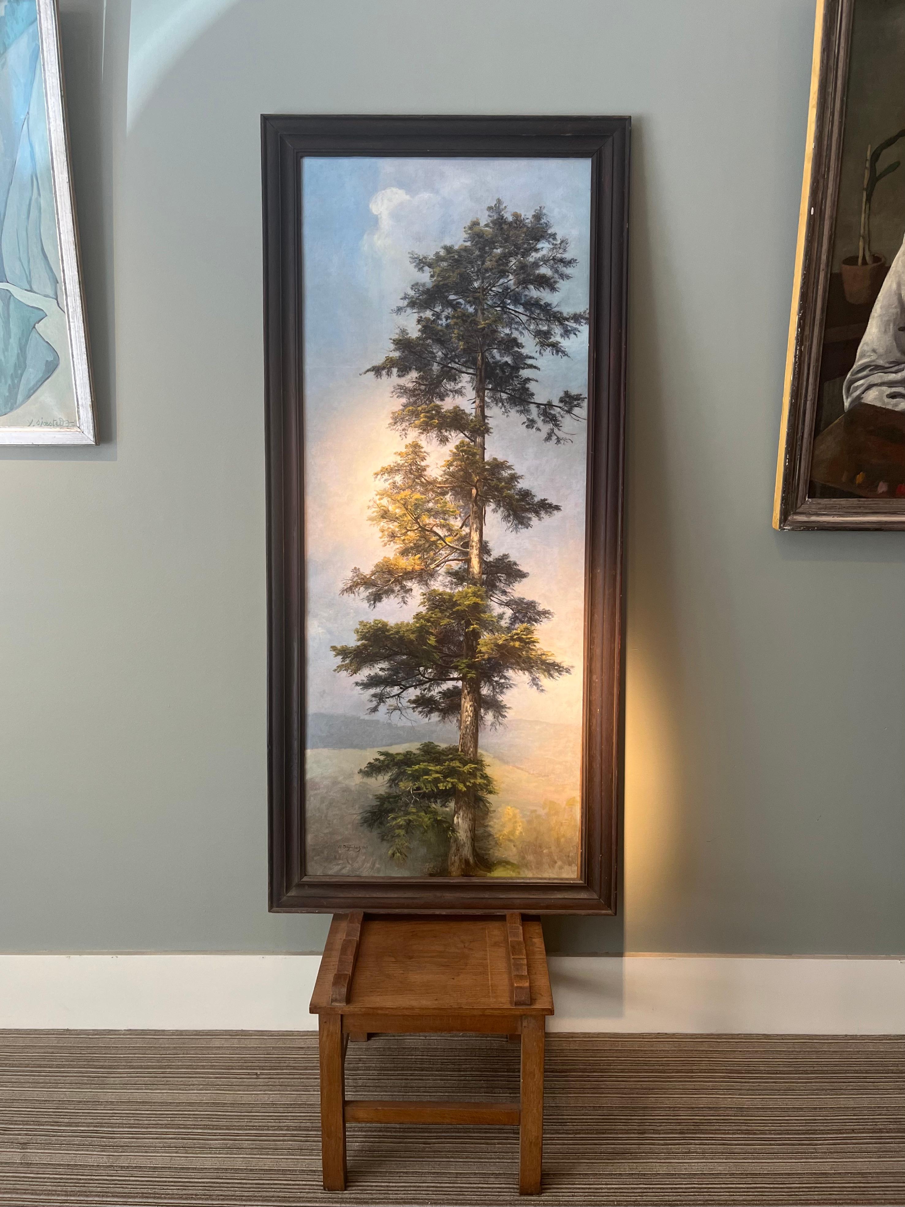 Anton DIEFFENBACH - Ritratto di albero (Sequoia gigante) 1903 in vendita 7
