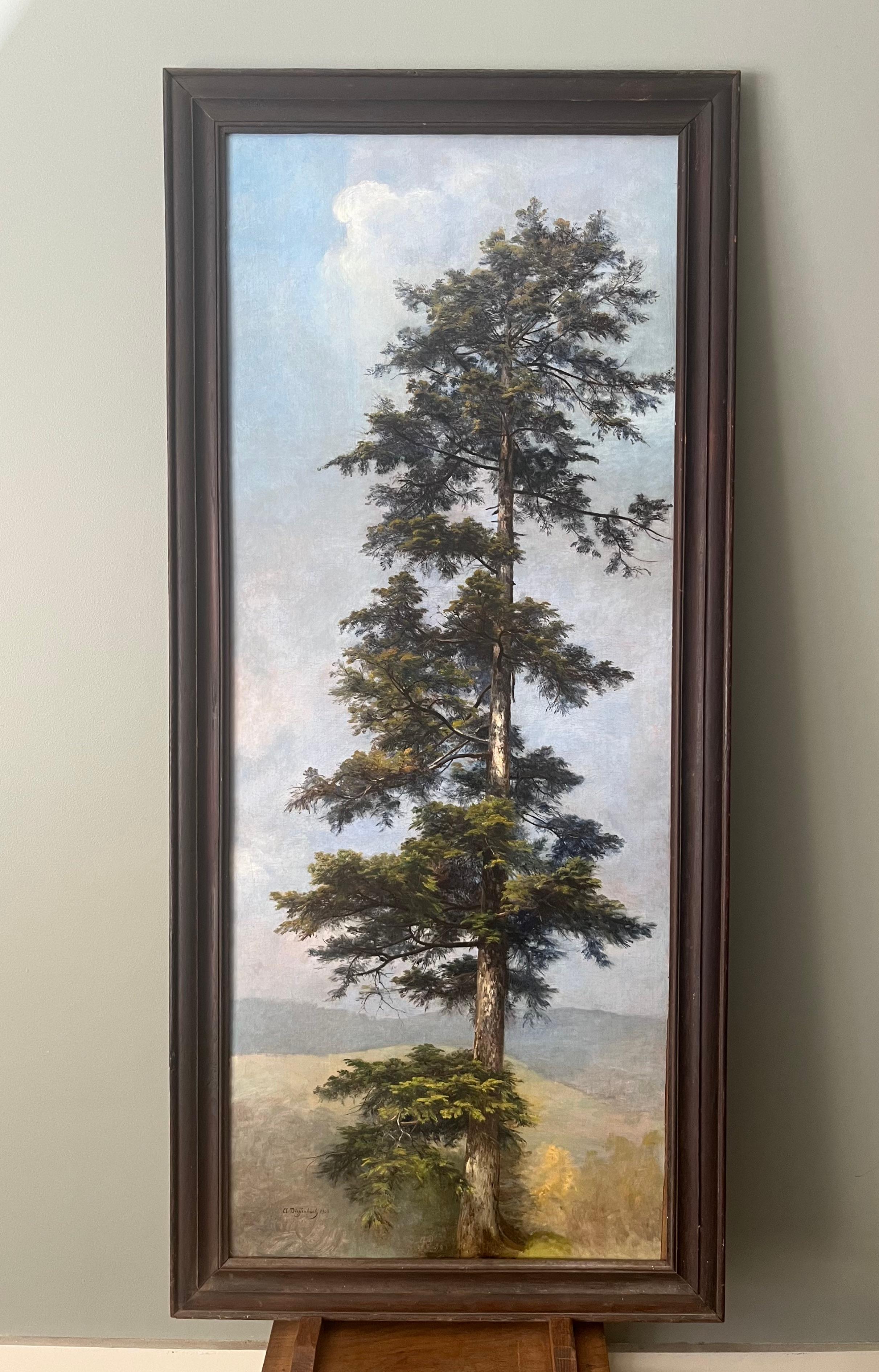 Anton DIEFFENBACH - Ritratto di albero (Sequoia gigante) 1903 - Painting di Anton Heinrich Dieffenbach
