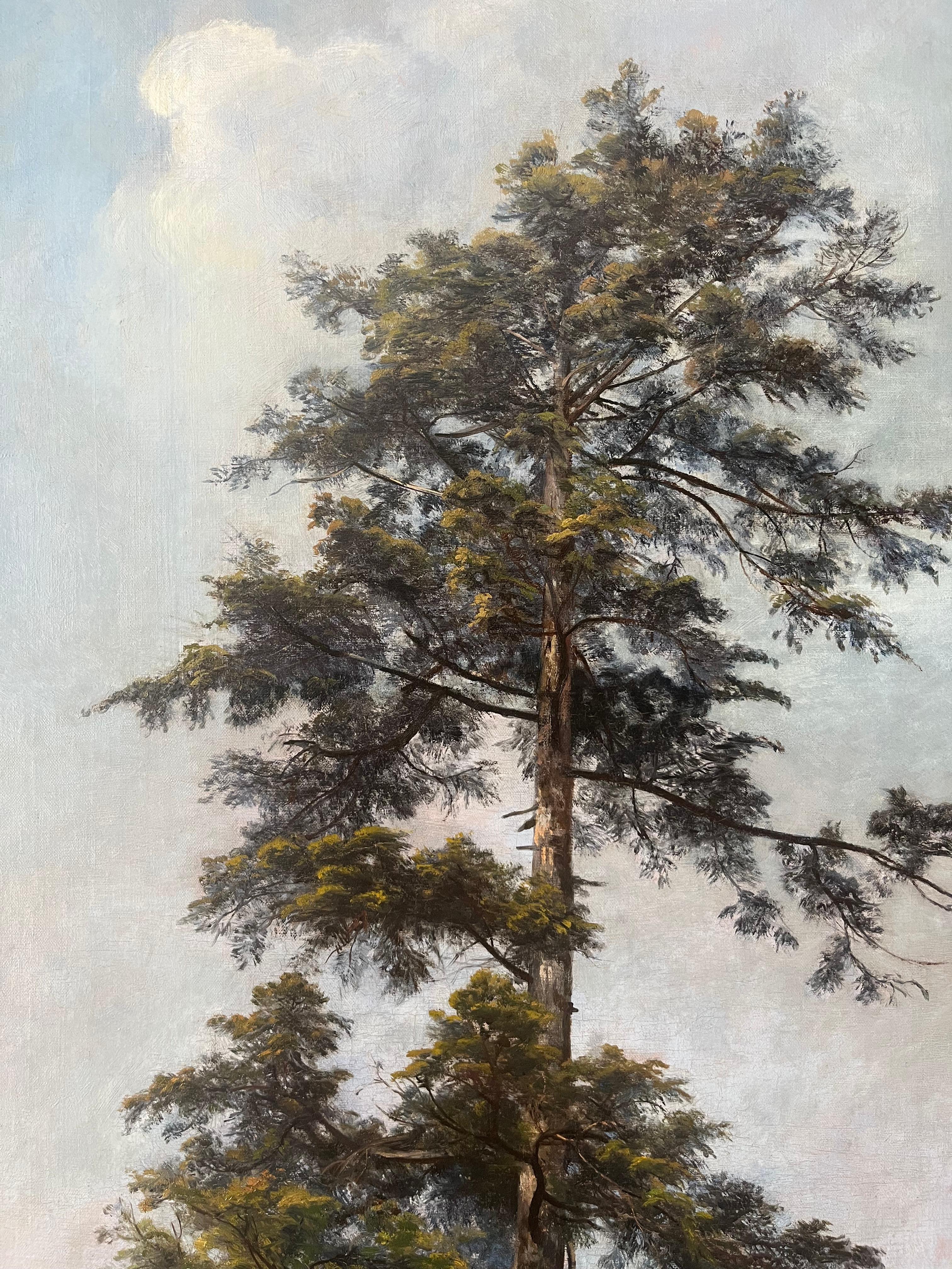 Anton DIEFFENBACH - Ritratto di albero (Sequoia gigante) 1903 - Landscape Painting Nero di Anton Heinrich Dieffenbach