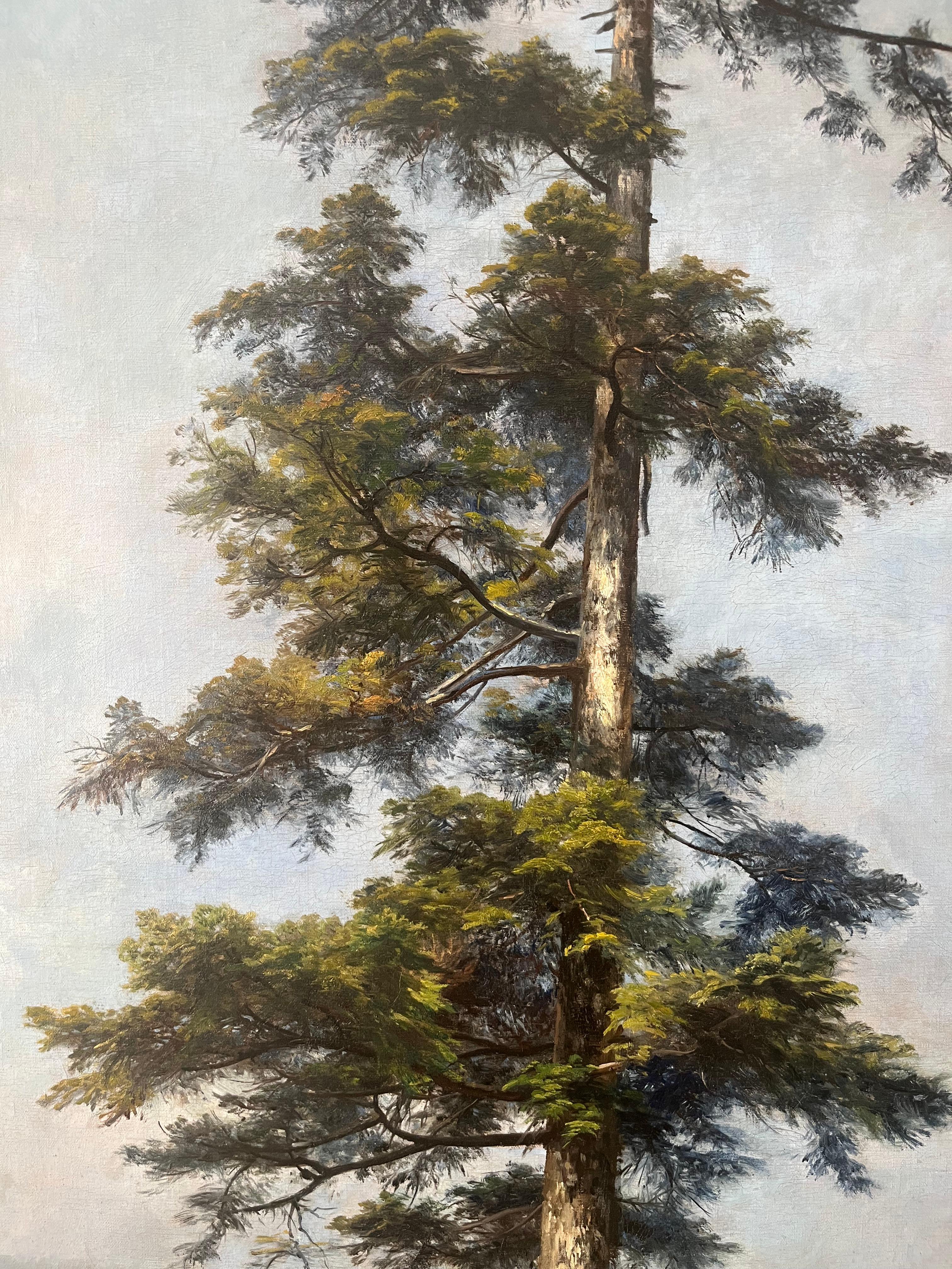 Anton Heinrich Dieffenbach
(1831 - 1914)

Ritratto di albero (Sequoia gigante)
1903
Firmato e datato in basso a destra
Olio su tela montato su pannello di Wood

139x 55,5 cm (156 x 70,4)