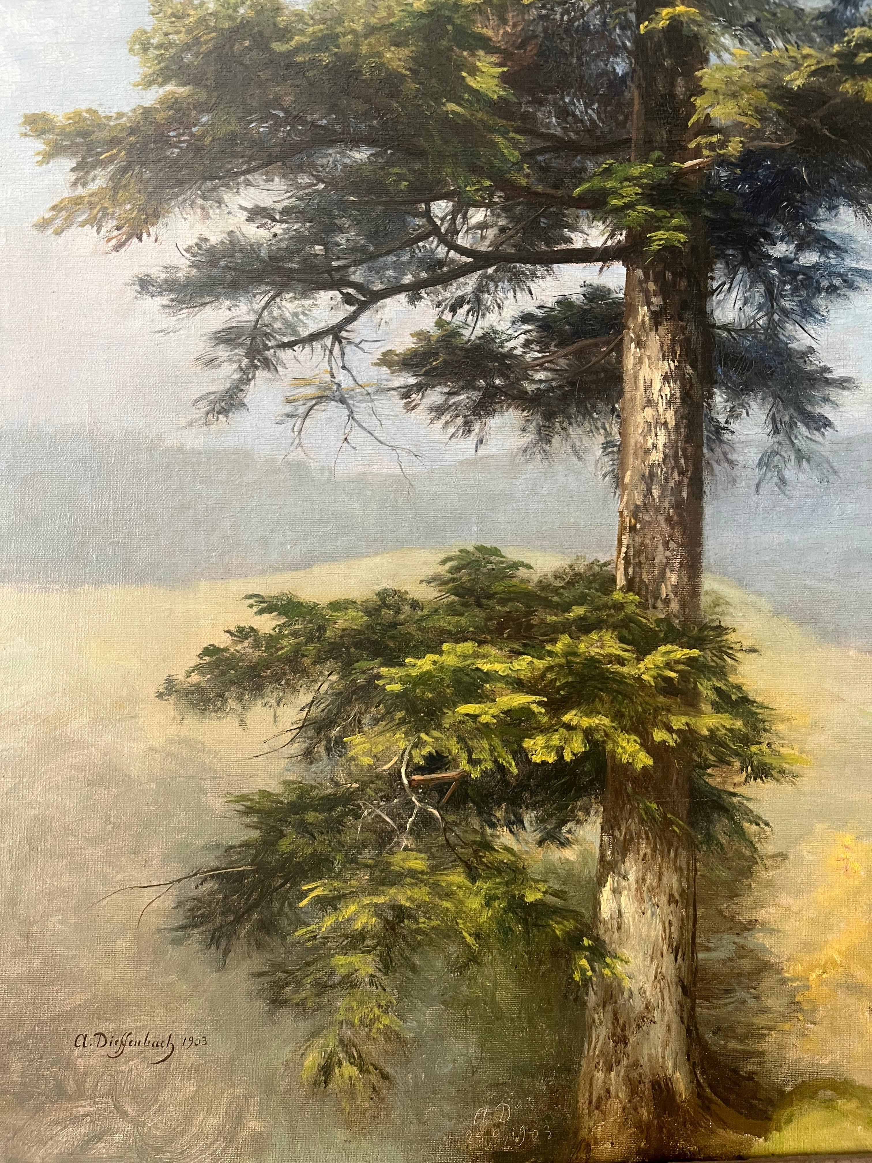 Anton DIEFFENBACH - Ritratto di albero (Sequoia gigante) 1903 in vendita 1