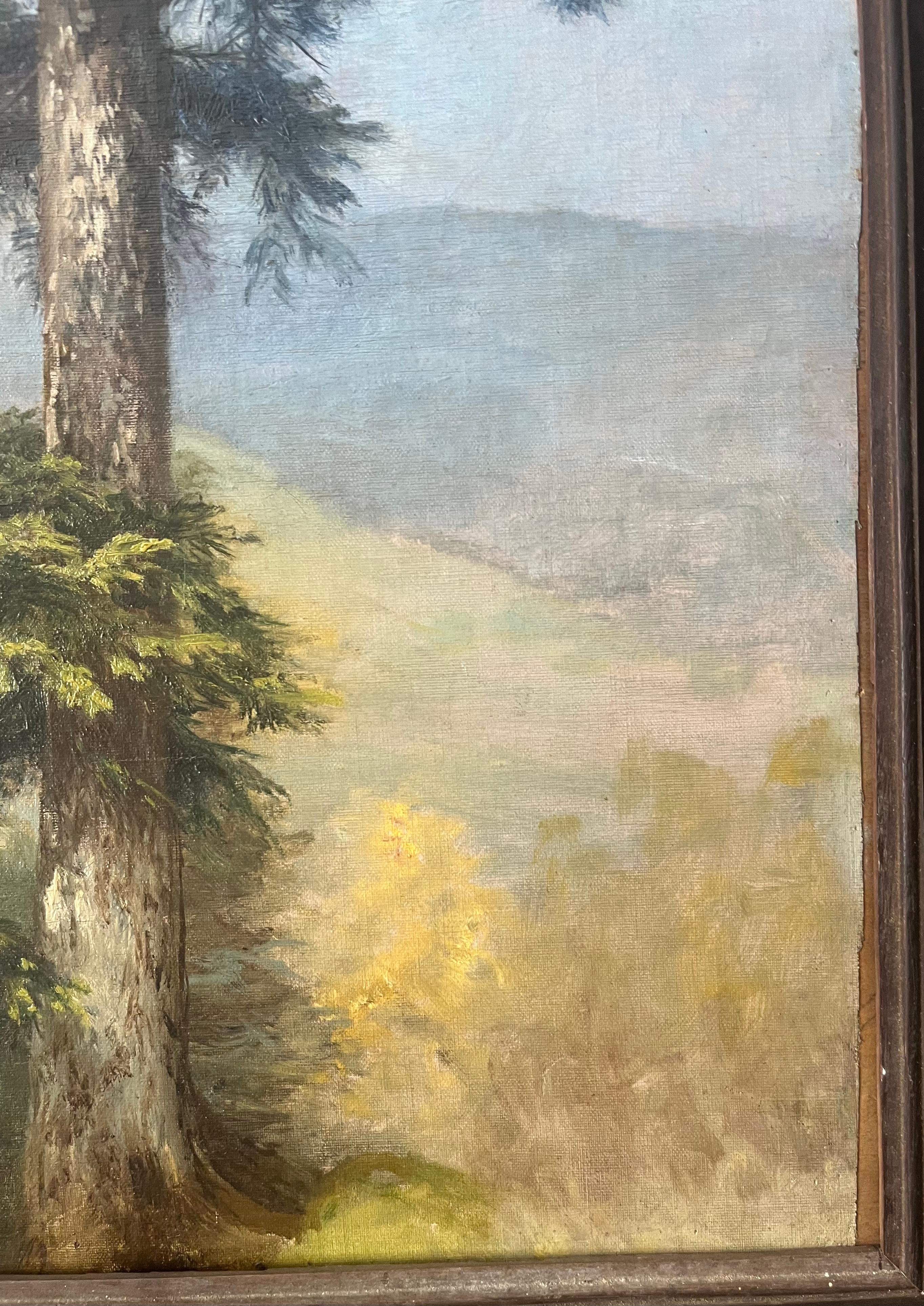Anton DIEFFENBACH - Ritratto di albero (Sequoia gigante) 1903 in vendita 2