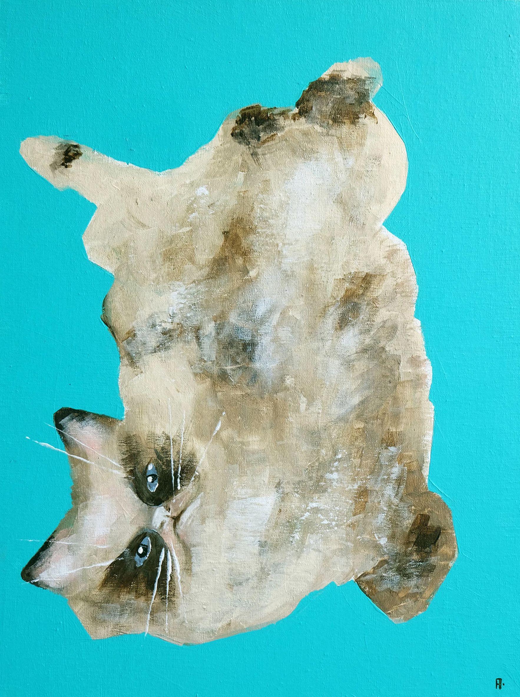 cat on acrylic green and blue
