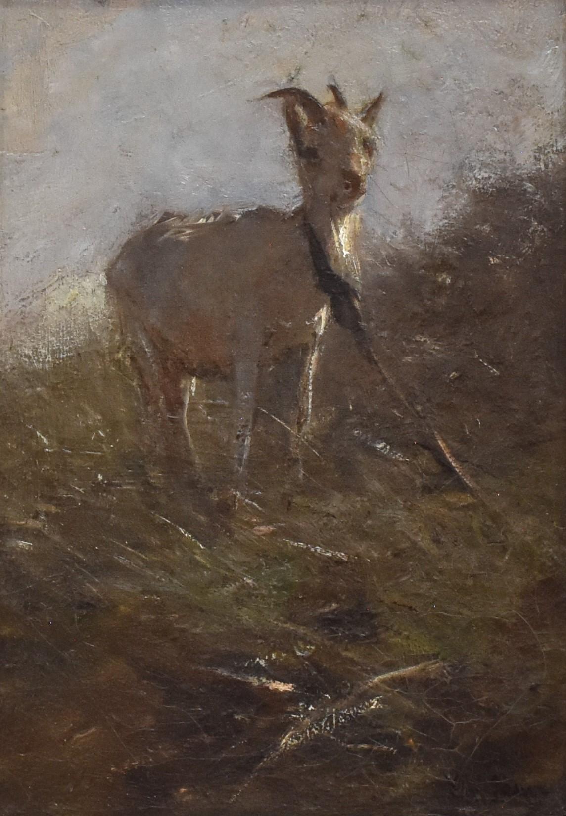 Goat in woods - Dutch artist, oil on canvas, animal and nature - Painting by Anton Mauve