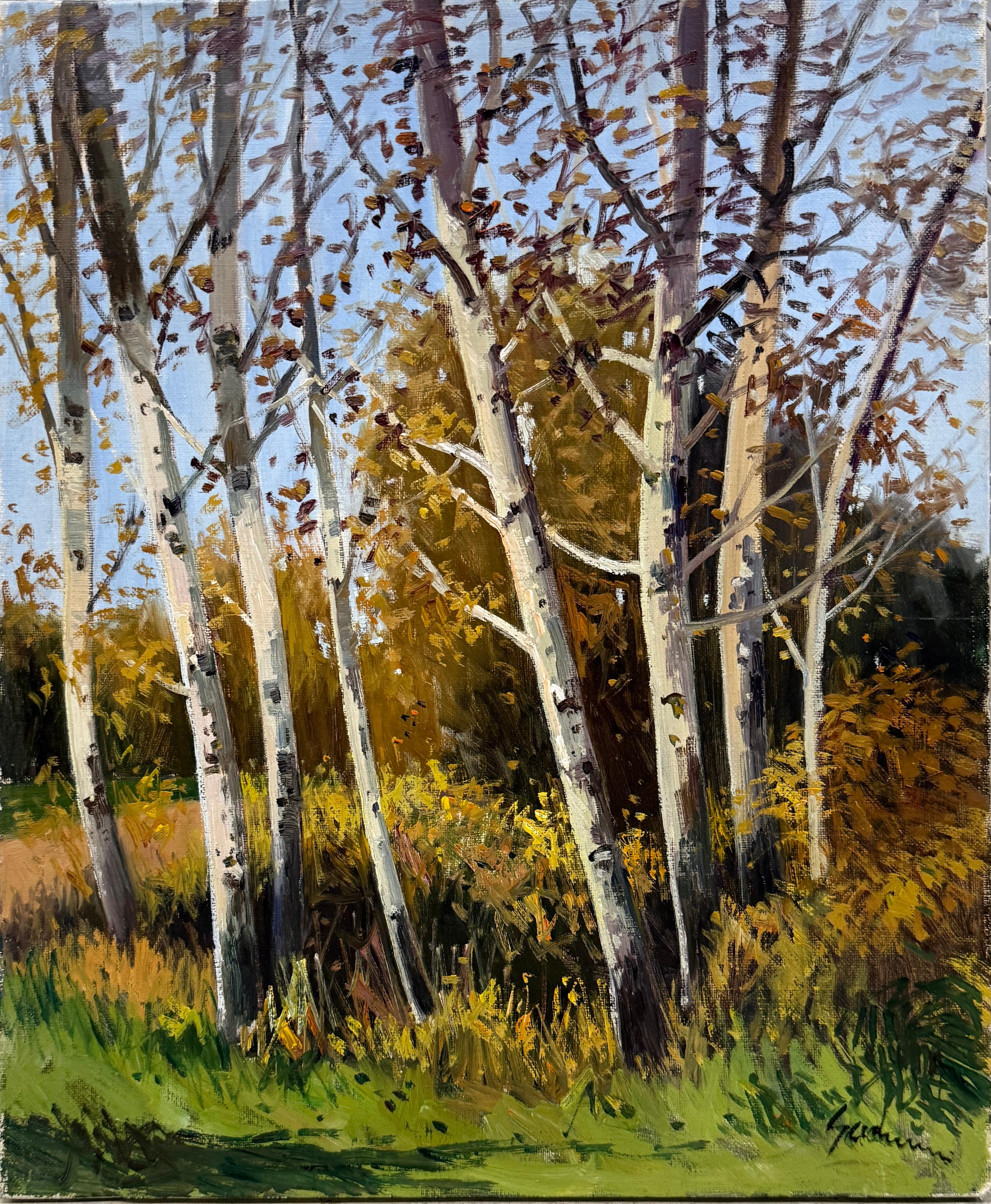 Autumn Birch Forest Oil Painting Catalan Impressionist Woodland Landscape Spain
