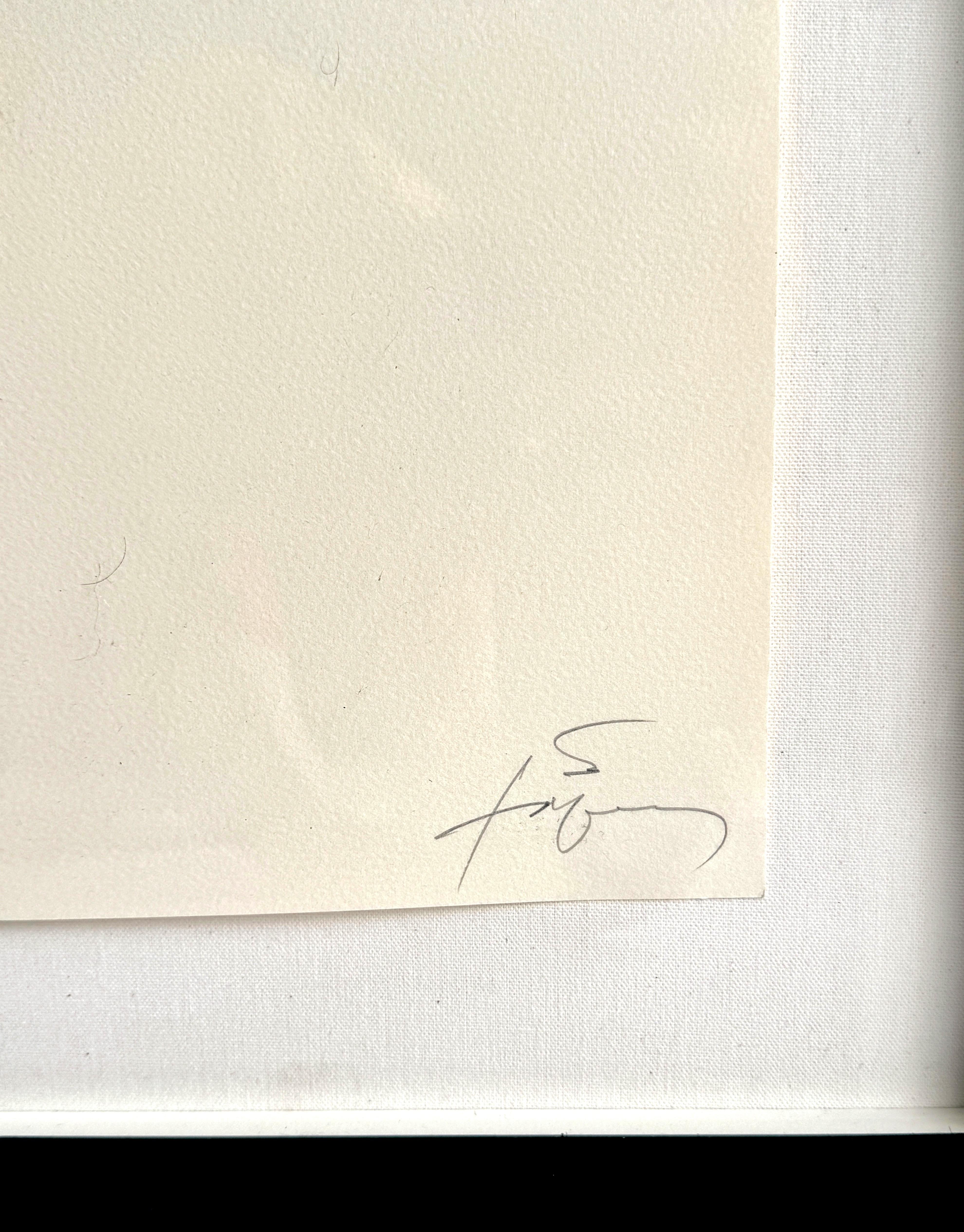 Espagnol Lithographie Antoni Tapies en couleurs  Arrow