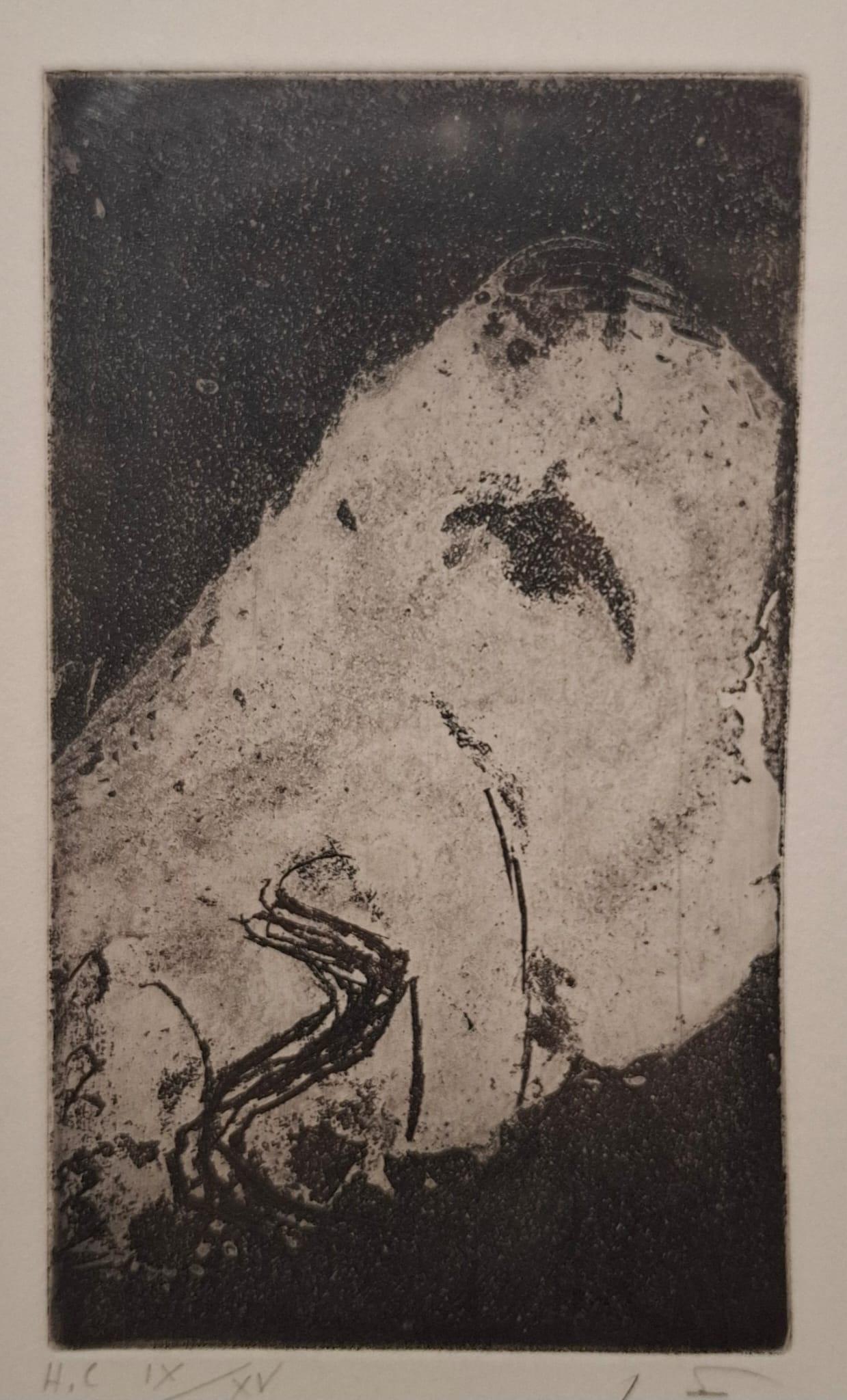 Minor XII For Sale 1