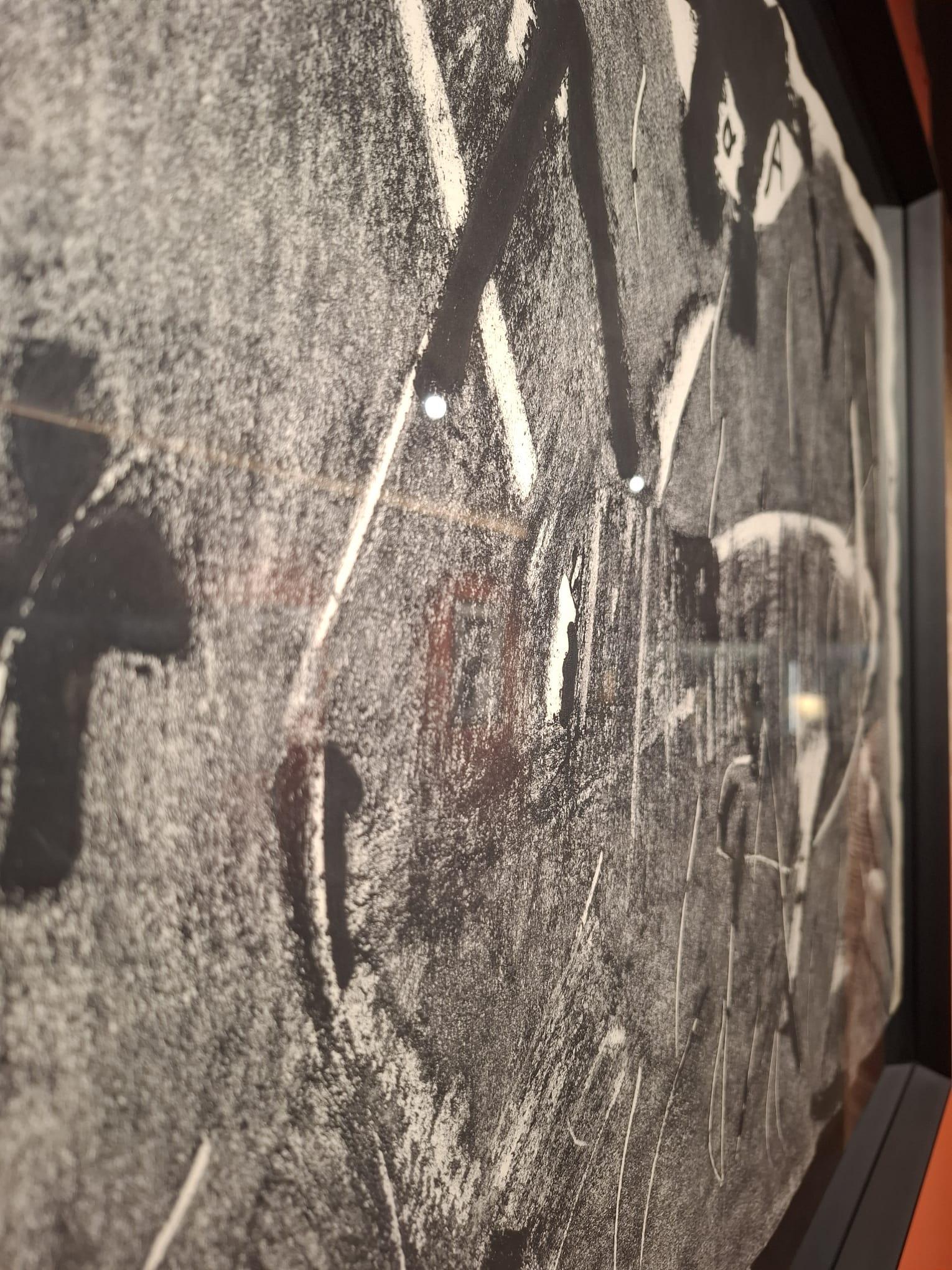 Negre i Gris For Sale 2