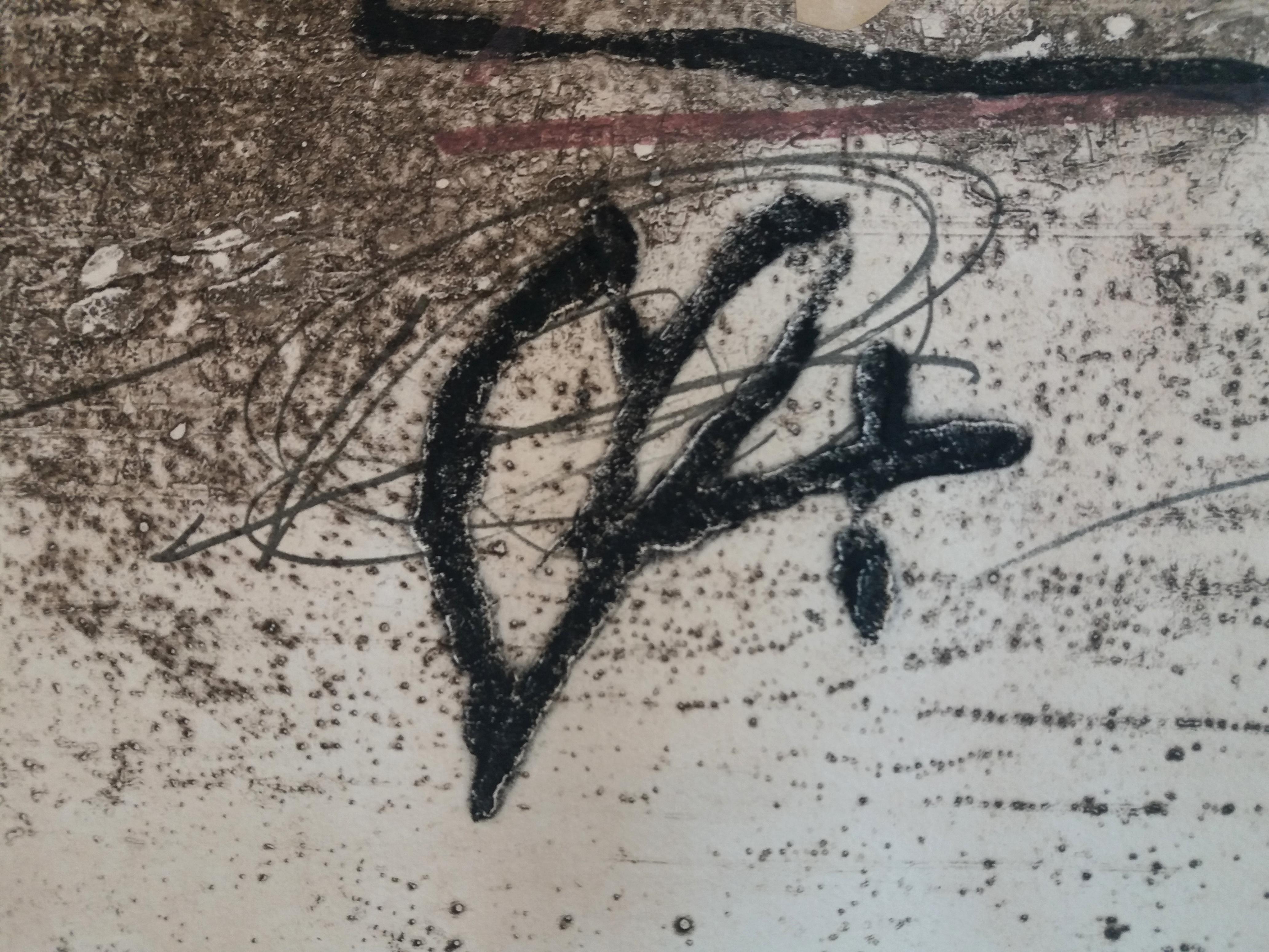 Tapies 4 Engraved With Plastic Collage and Polychrome stamping abstract For Sale 5