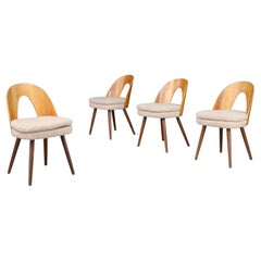 Antonin Suman pour Tatra Chaises de salle à manger en noyer et tapisserie Teddy, années 1960