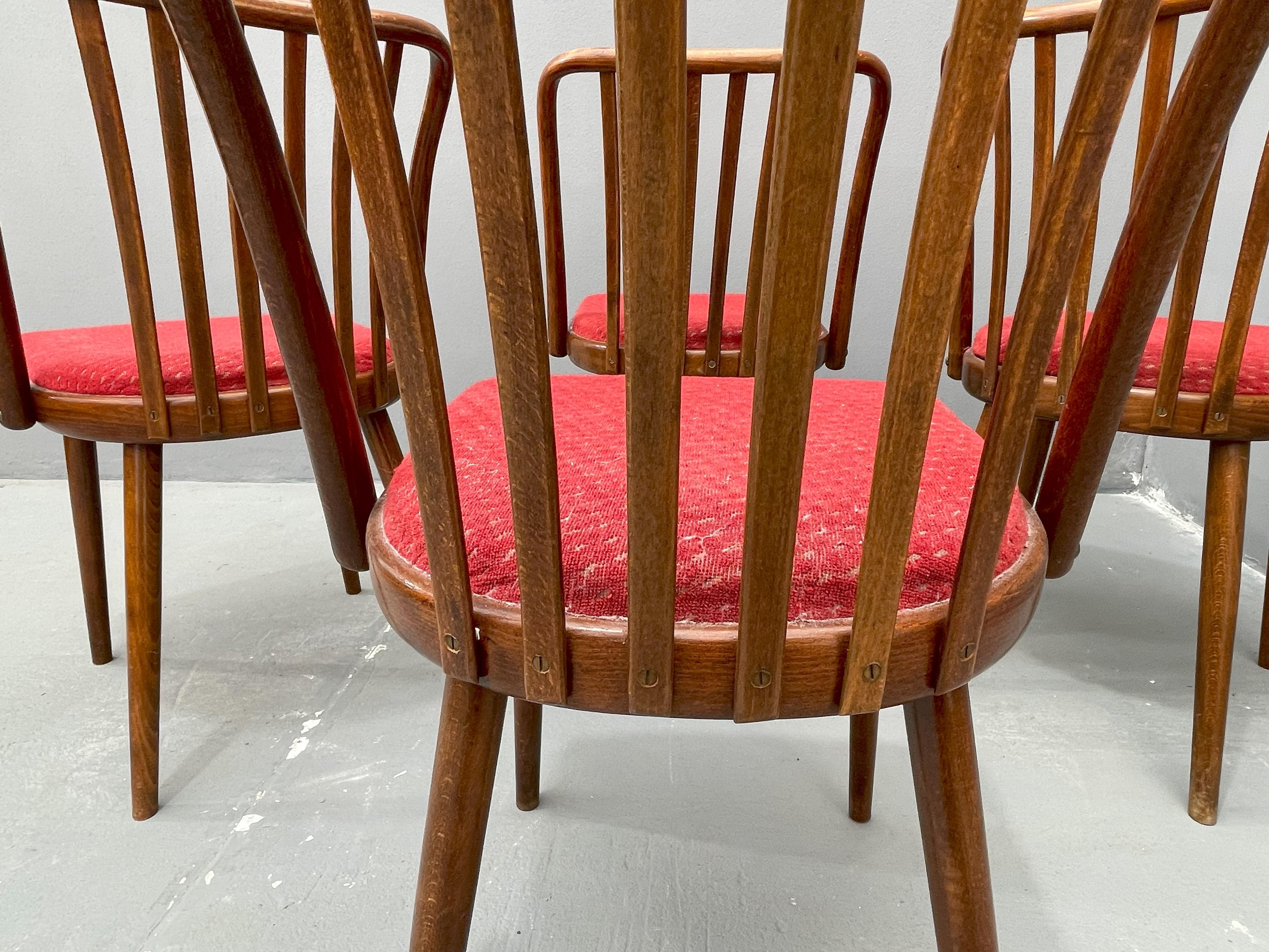 Antonín Šuman – set of chairs from the 1960s, Czechoslovakia For Sale 1