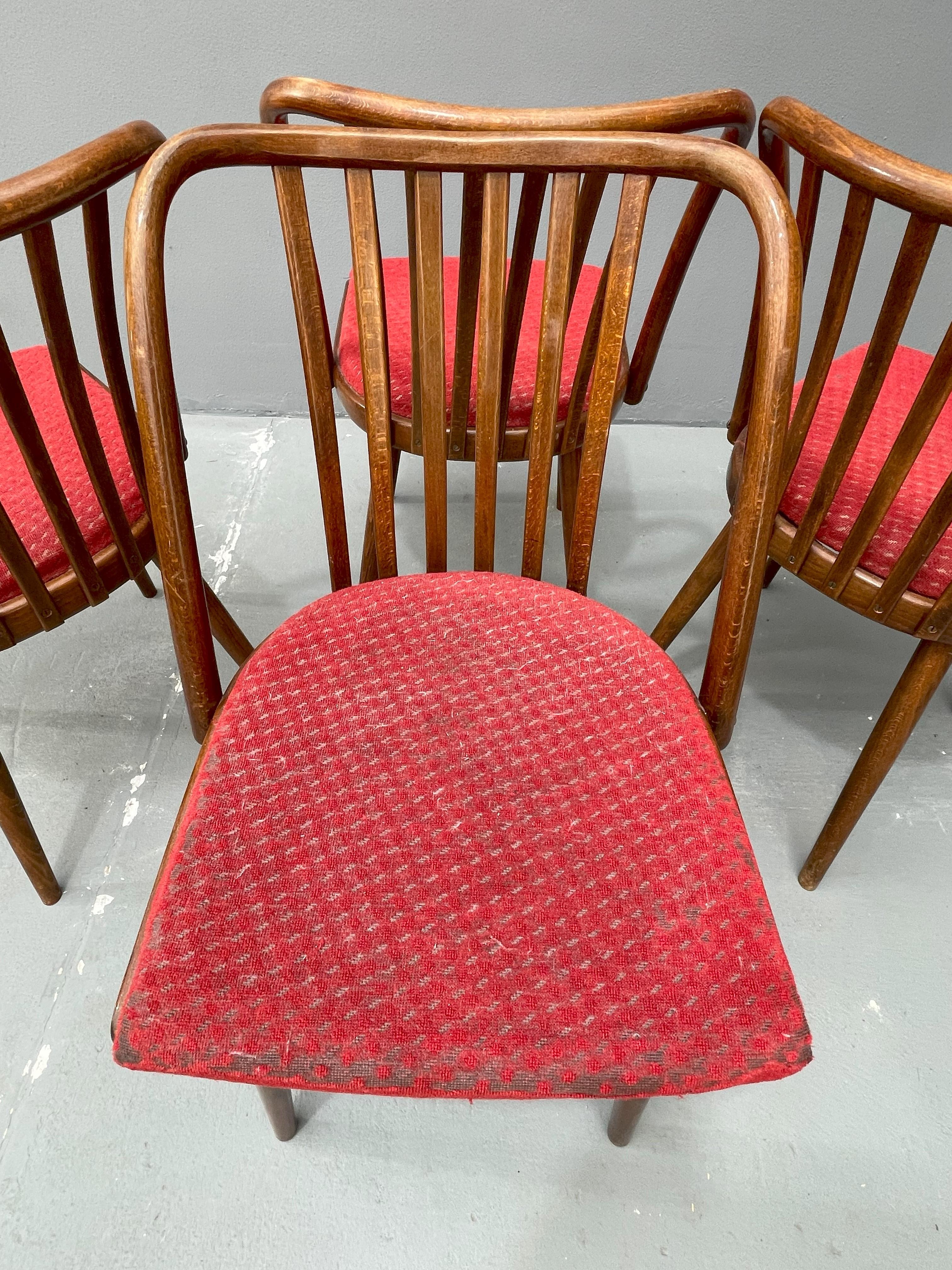 Antonín Šuman – set of chairs from the 1960s, Czechoslovakia For Sale 3