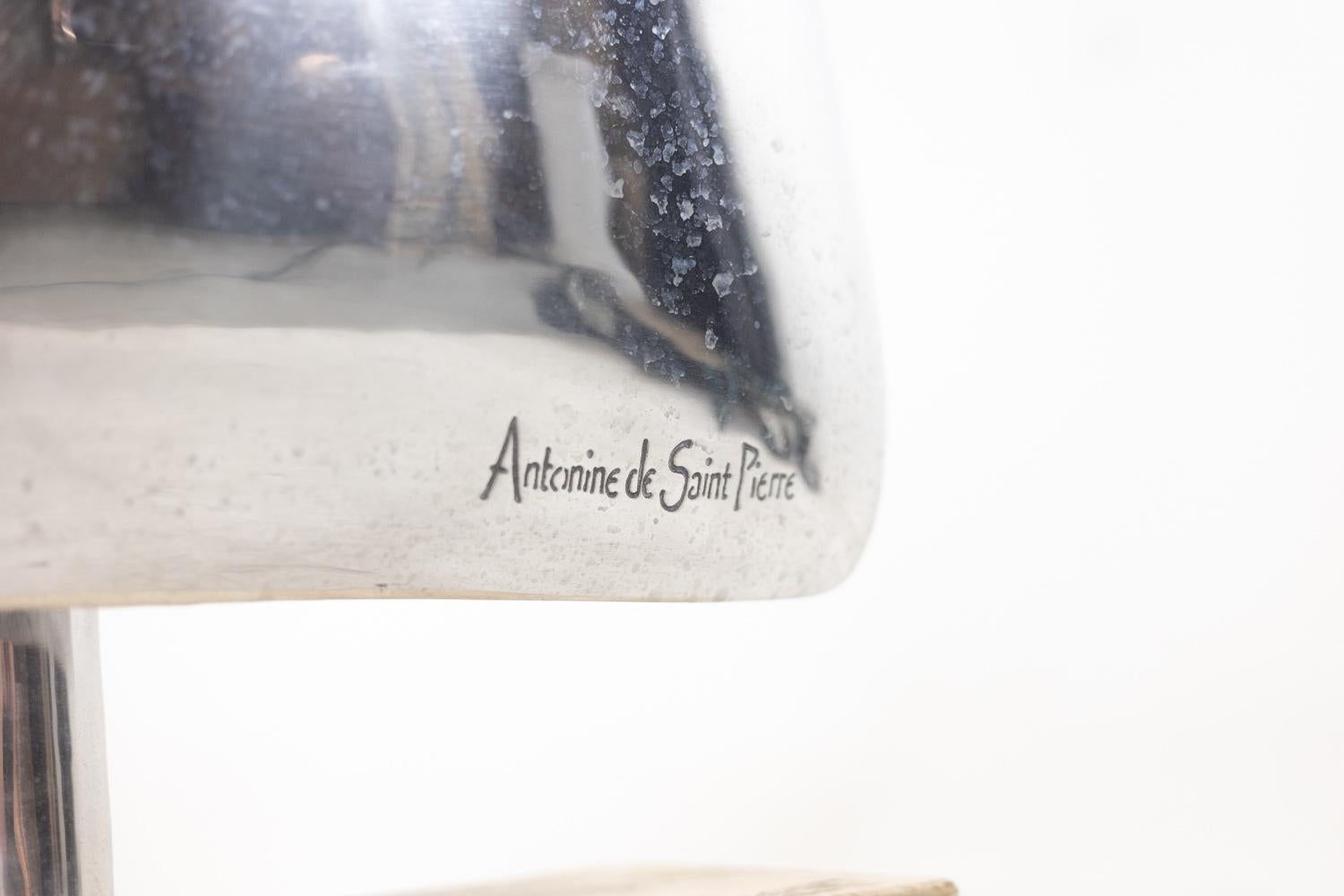 Polished Antonine de Saint Pierre. Abstract sculpture. Contemporary work. For Sale