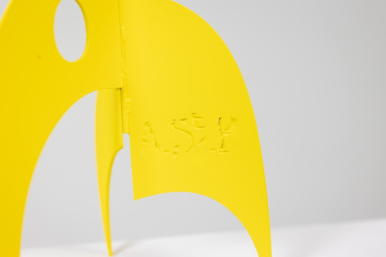 Antonine de Saint Pierre. Sculpture de M. Soleil. Contemporain. en vente 4