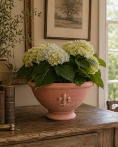 Antonini Italian Terracotta Fleur-de-Lis Planter