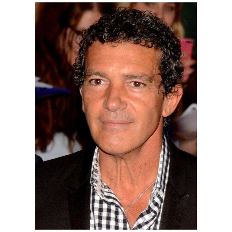 Antonio Banderas Authentic Strand of Hair In Good Condition For Sale In Jersey, GB