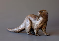 Nutria del Cabo Pequeña