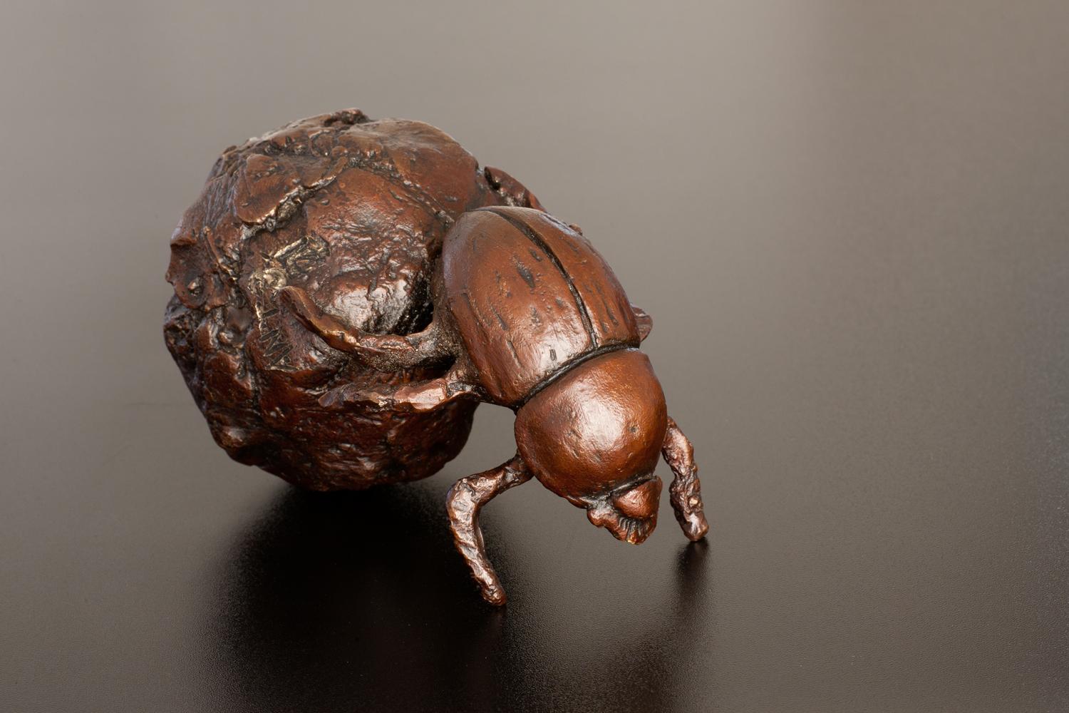 Antonio Da Silva  Figurative Sculpture - Dung Beetle
