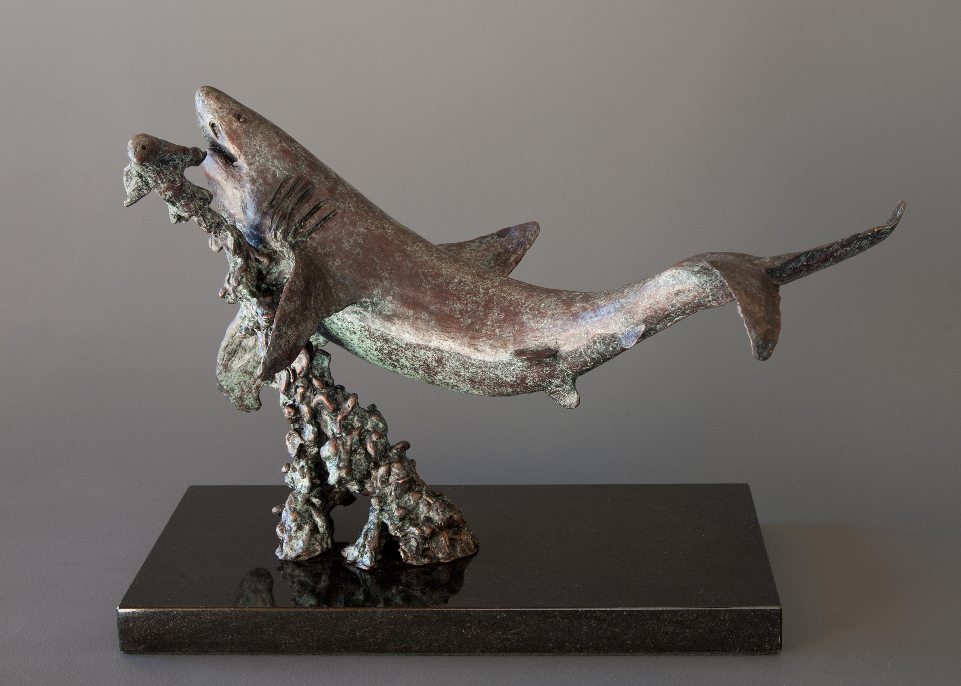 Antonio Da Silva  Figurative Sculpture - Shark & Seal