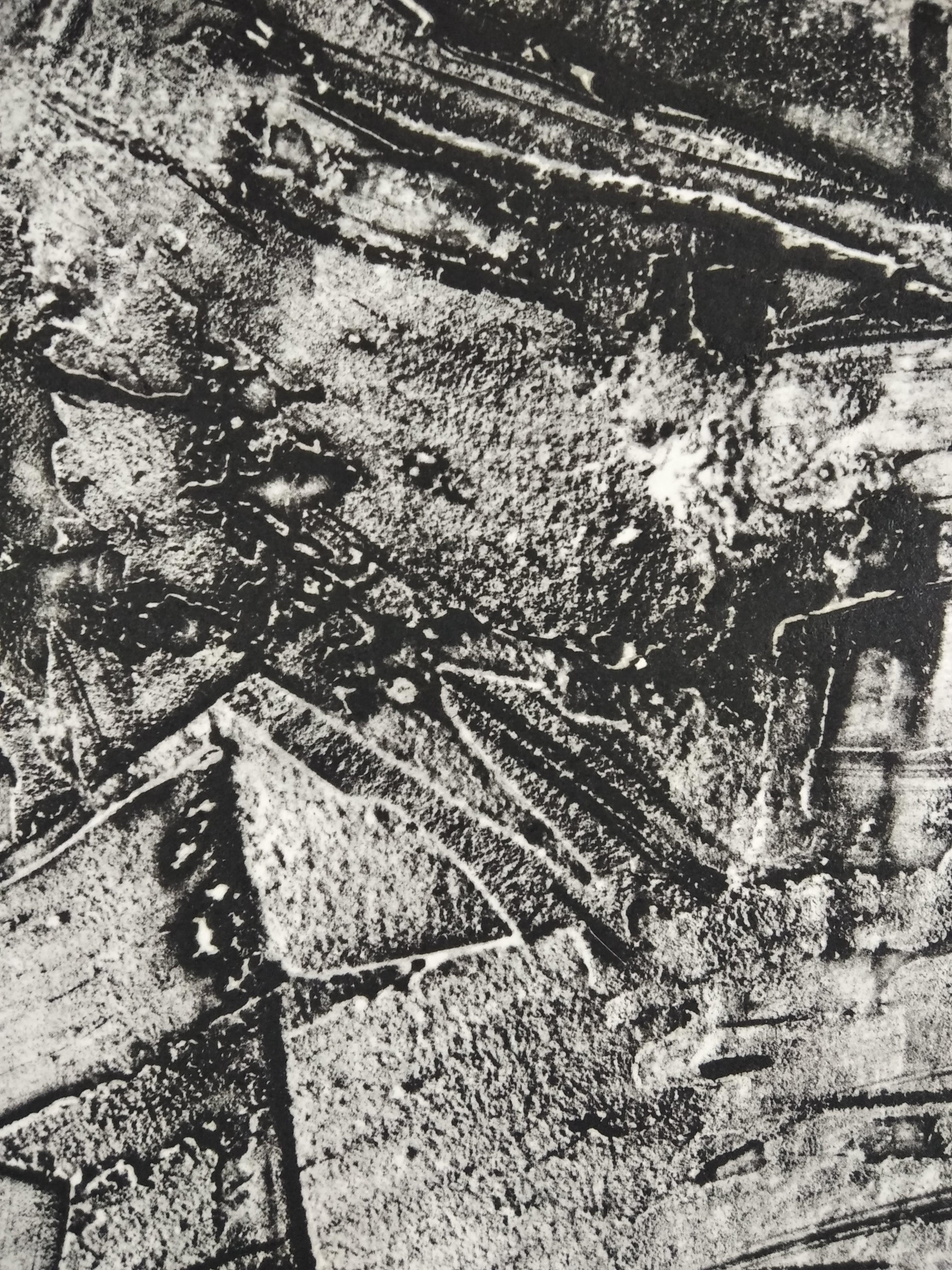 Untitled - Gray Abstract Print by Antonio de Vargas
