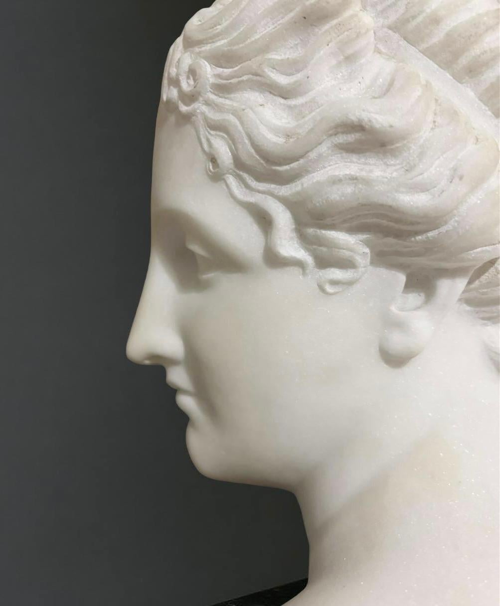 Busto in Marmo Statuario della Venere Italica seconda metà XIX secolo Firmato in vendita 6