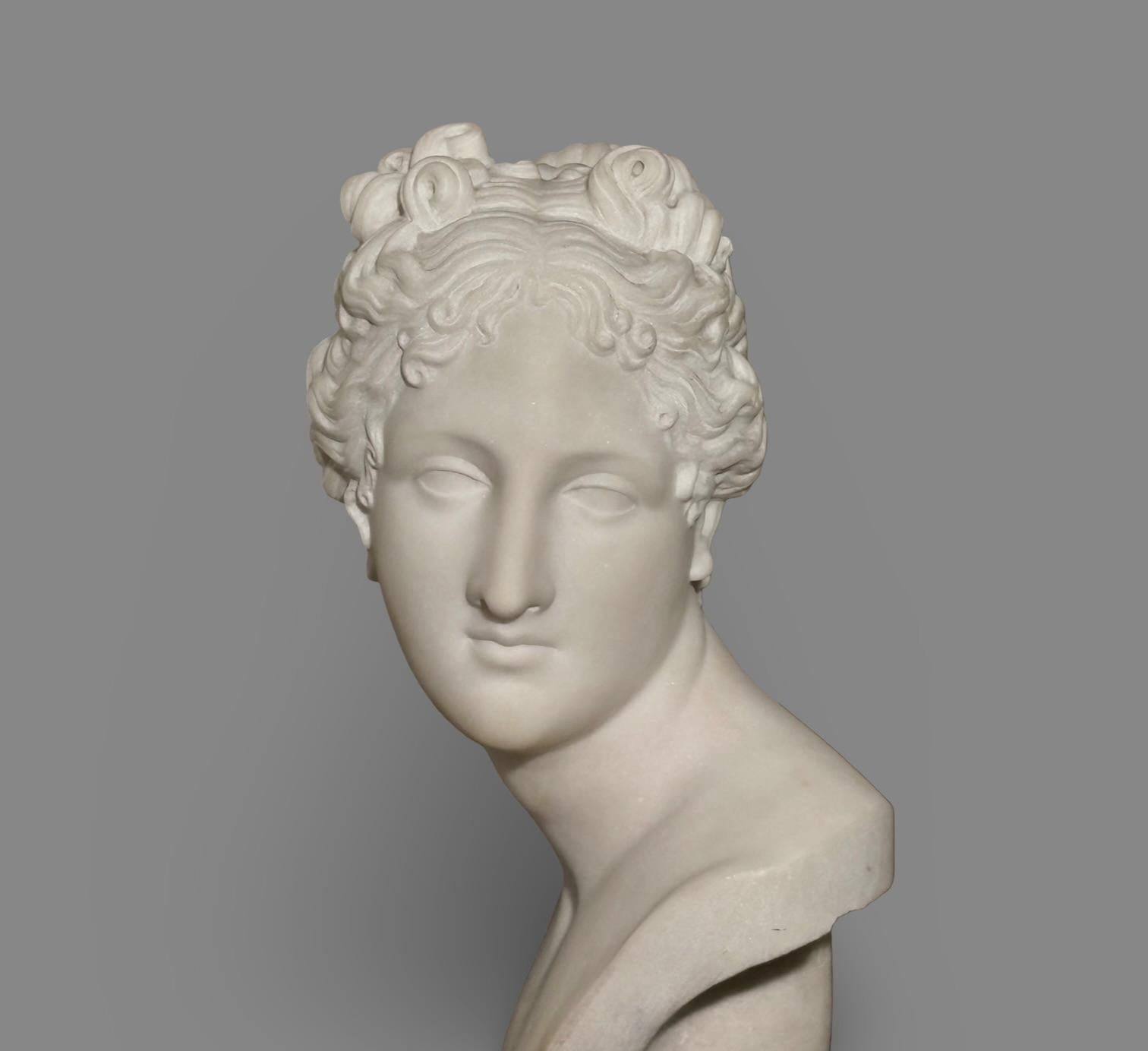 Busto in Marmo Statuario della Venere Italica seconda metà XIX secolo Firmato in vendita 8