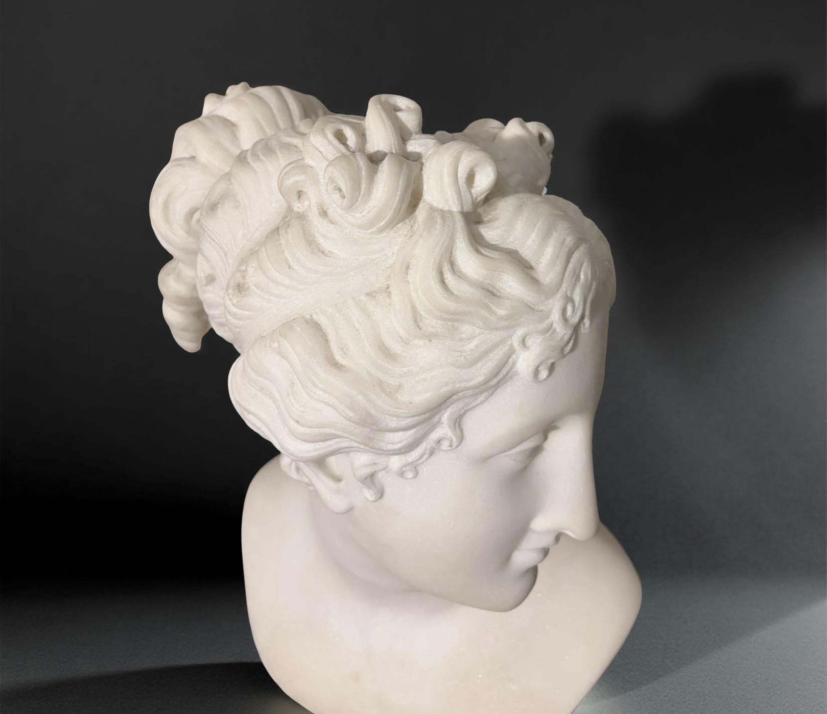 Busto in Marmo Statuario della Venere Italica seconda metà XIX secolo Firmato - Sculpture Scuola italiana di Antonio Frilli