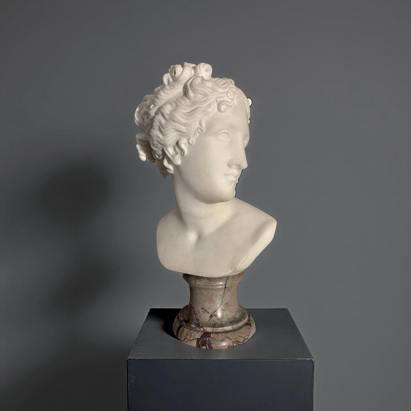 Busto in Marmo Statuario della Venere Italica seconda metà XIX secolo Firmato in vendita 1