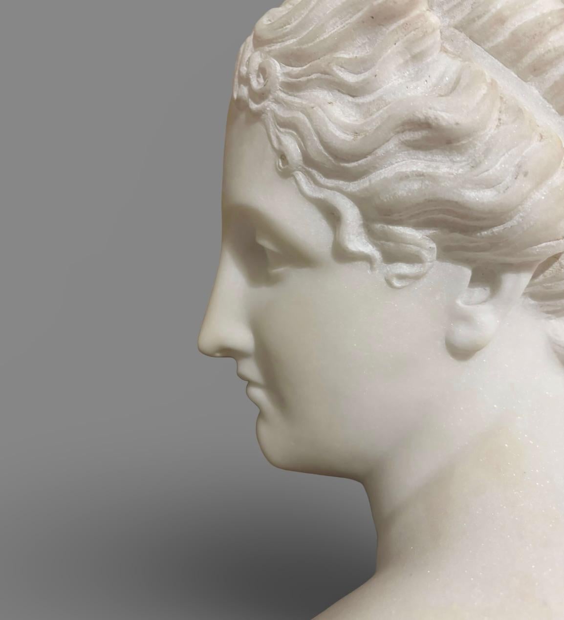 Busto in Marmo Statuario della Venere Italica seconda metà XIX secolo Firmato in vendita 4