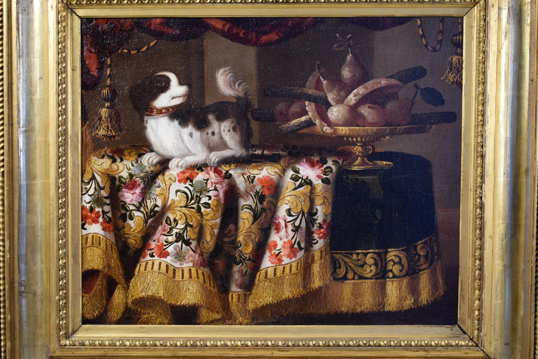 Antonio Gianlisi the younger (1677-1727), 18th century Italian oil painting on canvas, still life with a little dog and some sweets on precious embroidered tissue

Measures: Oil on canvas, cm 55 x 73, with the Frame, cm 84 x 97

The canvas, of