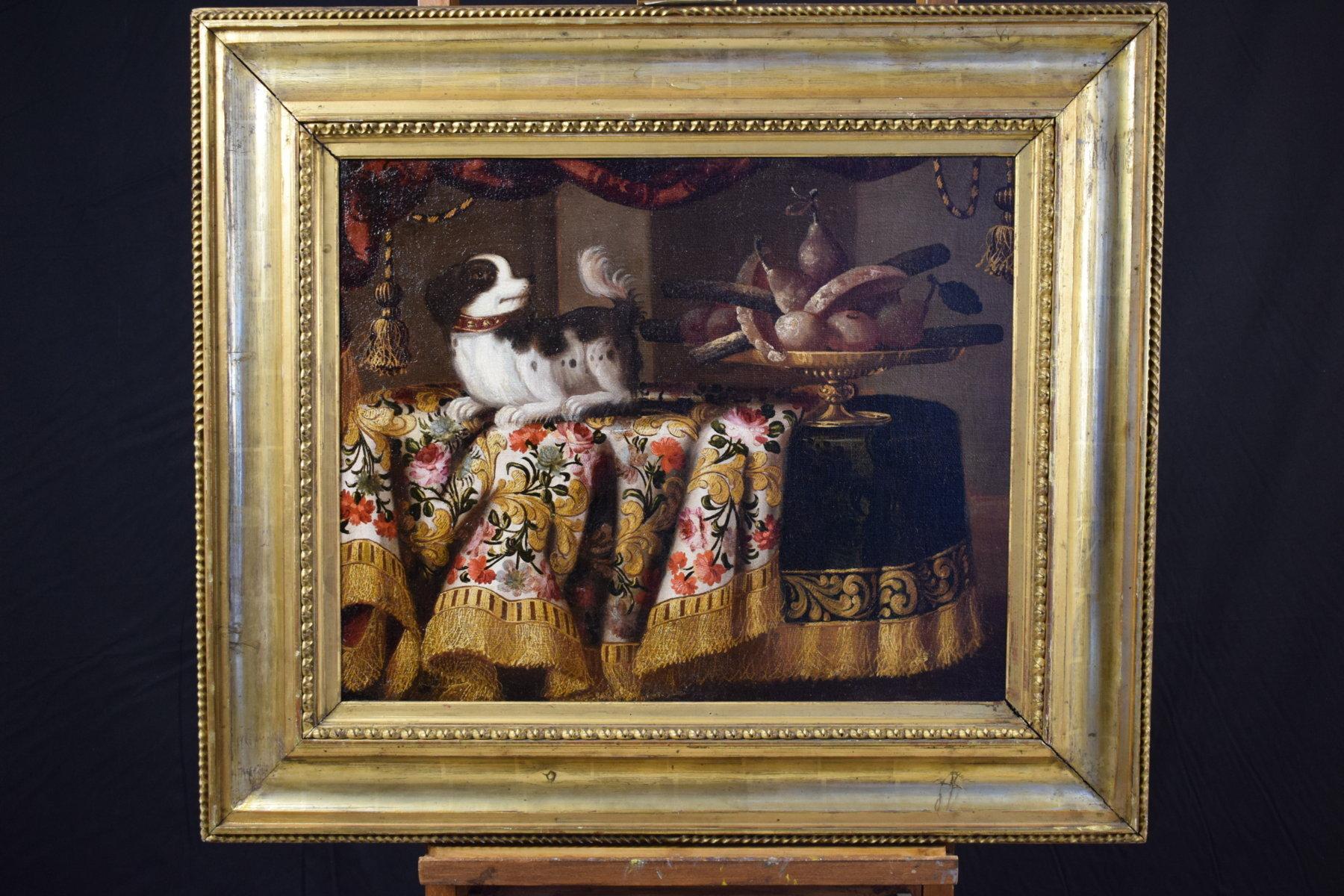 Antonio Gianlisi 18th Century Italian Oil Painting, Still Life with a Little Dog 2