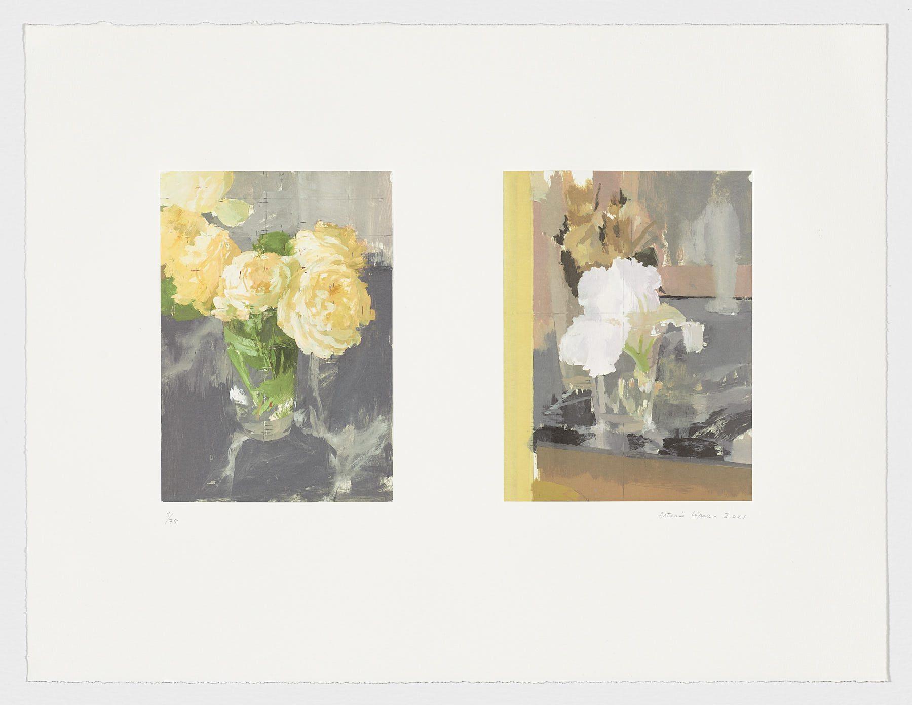 Spanish Artist signed limited edition original art print lithography floral - Print by Antonio Lopez