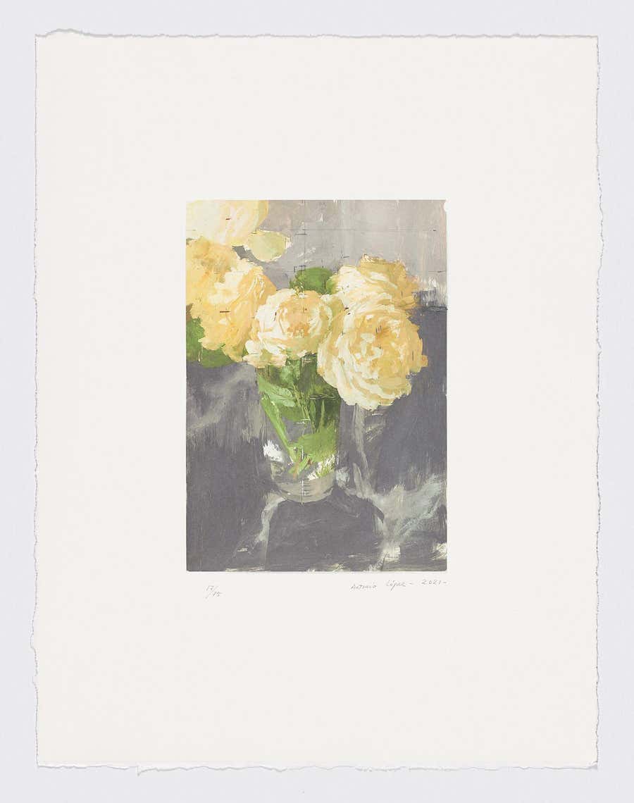 Spanish Artist signed limited edition original art print lithography floral