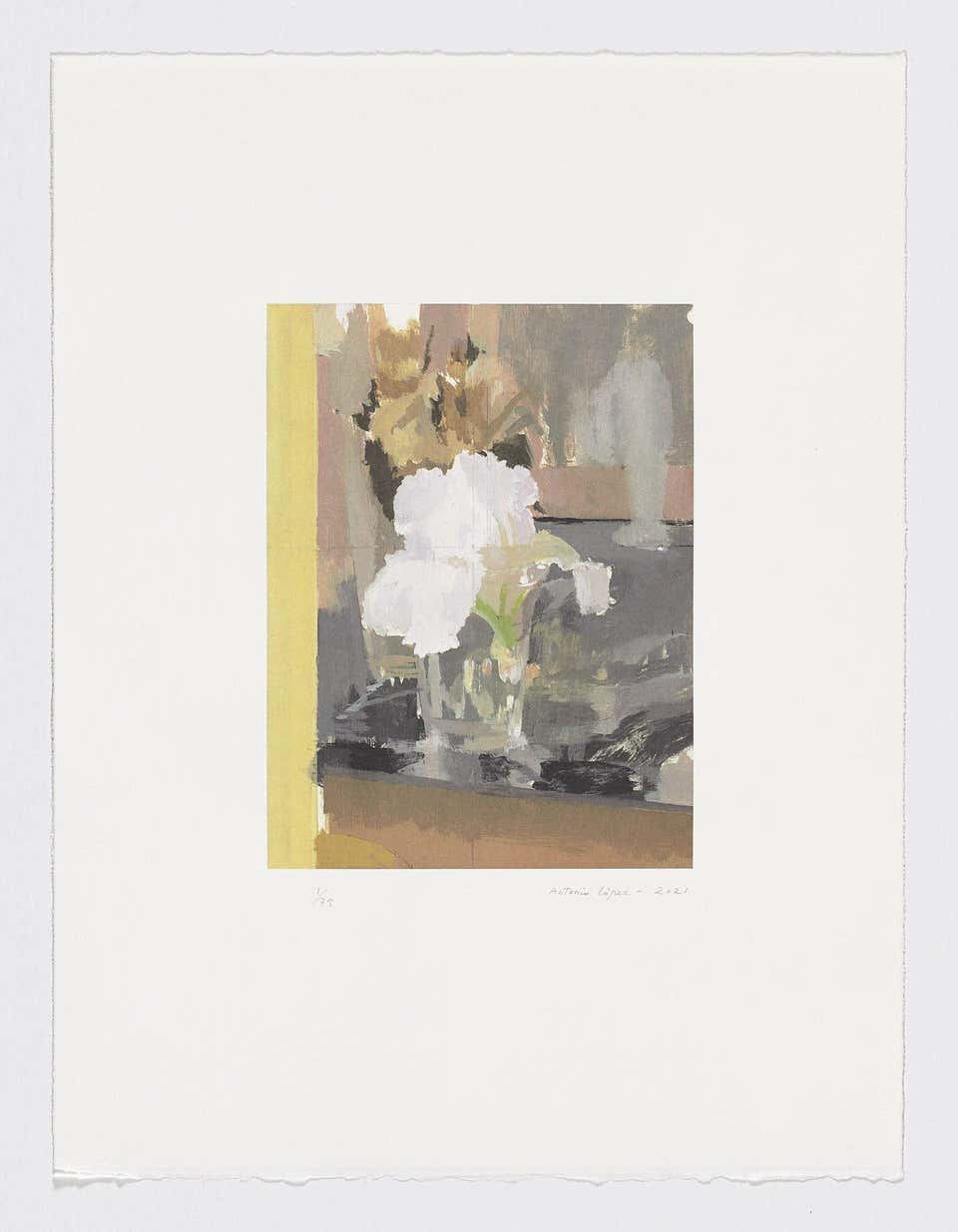 Spanish Artist signed limited edition original art print lithography floral