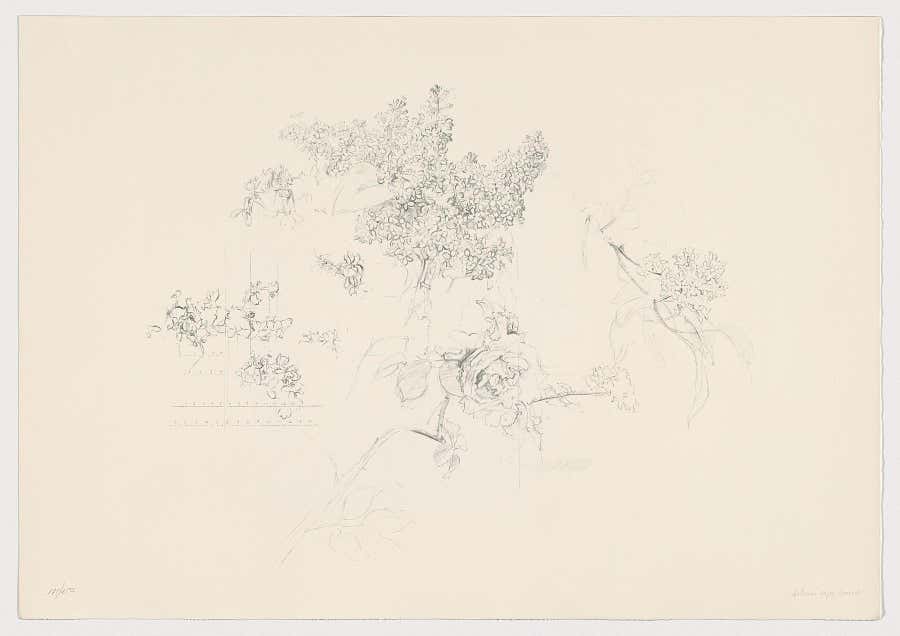 Spanish Artist signed limited edition original art print lithography