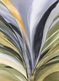 Zantedeschia