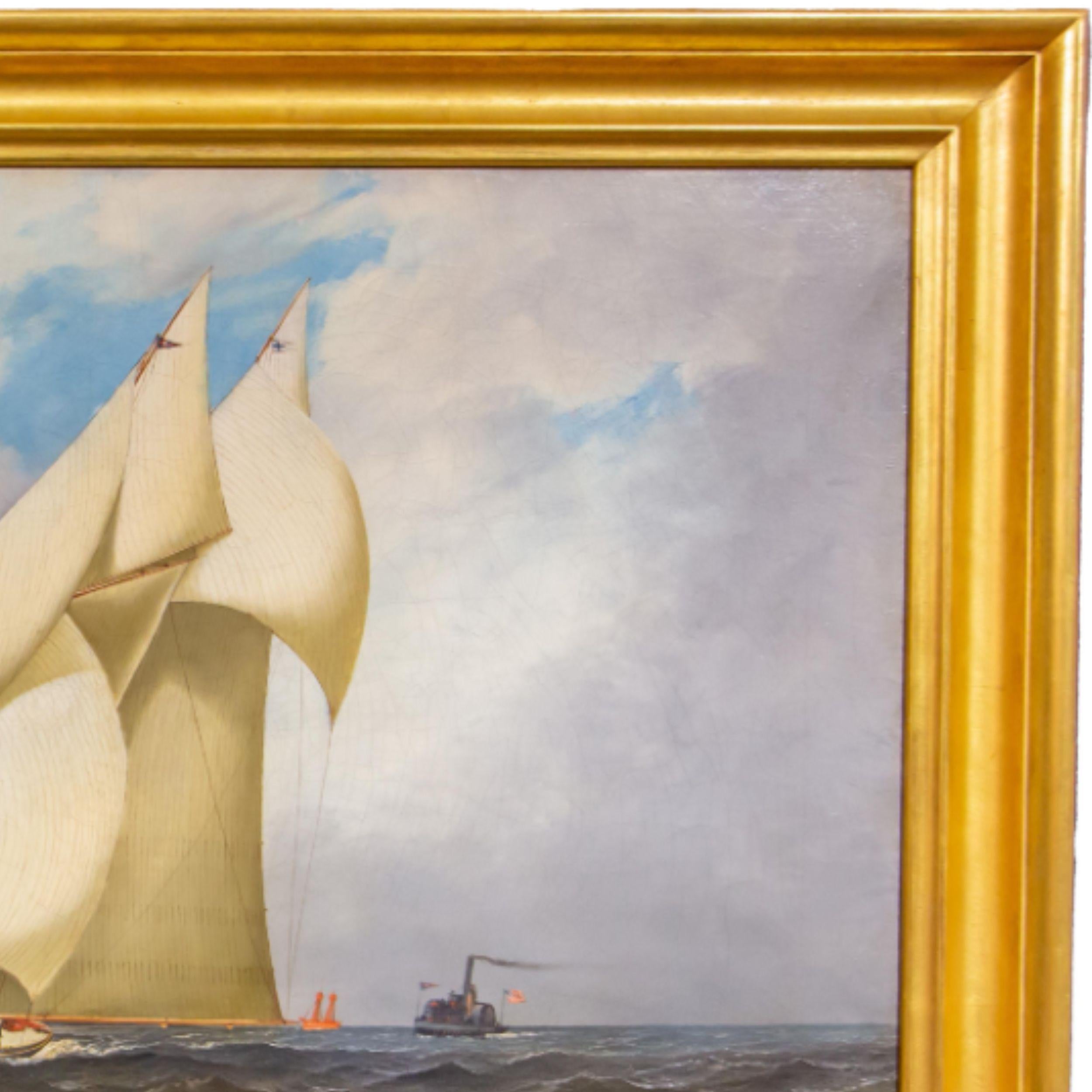 Americas Cup Race For Sale 8