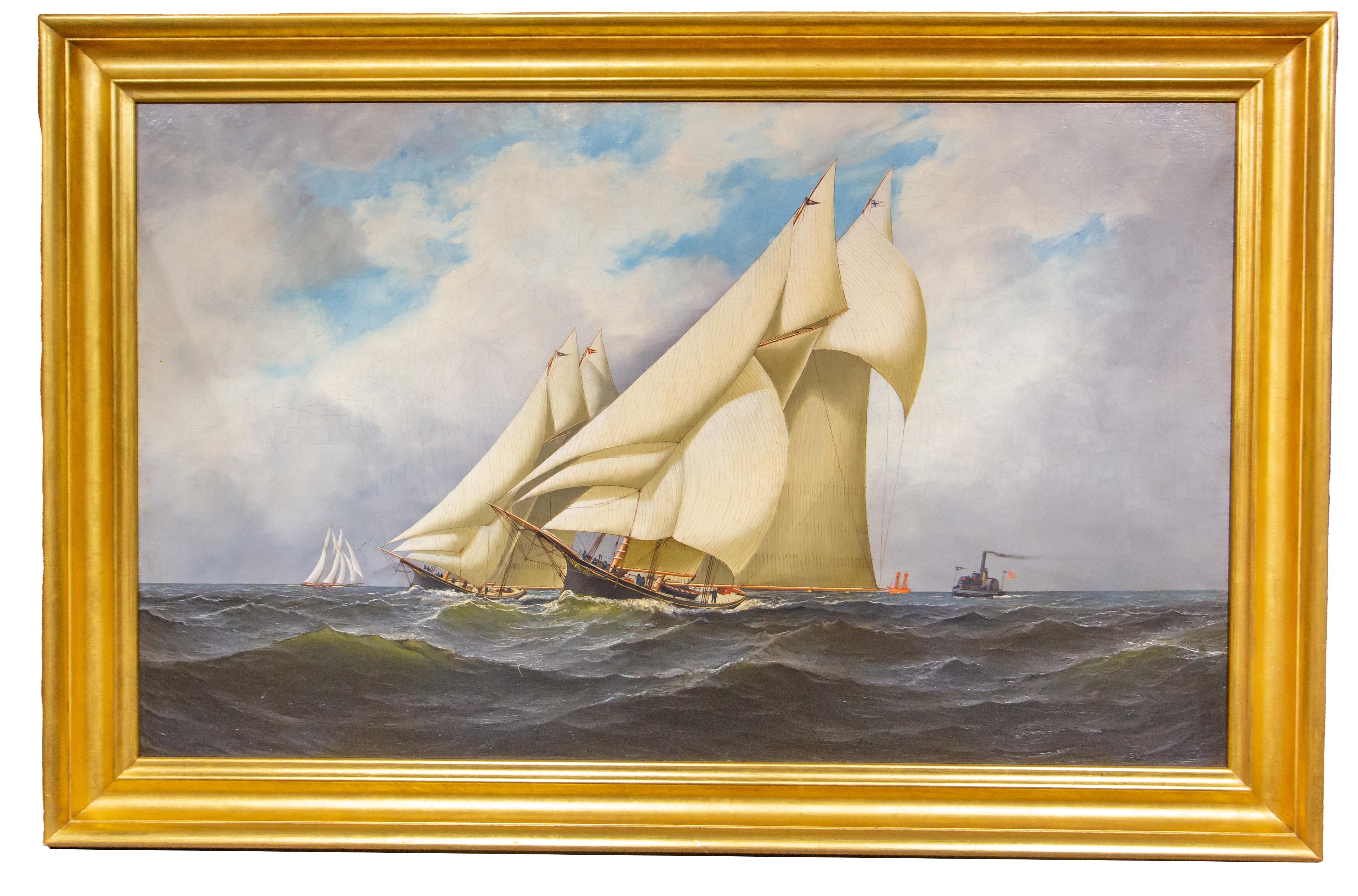 Americas Cup Race For Sale 2