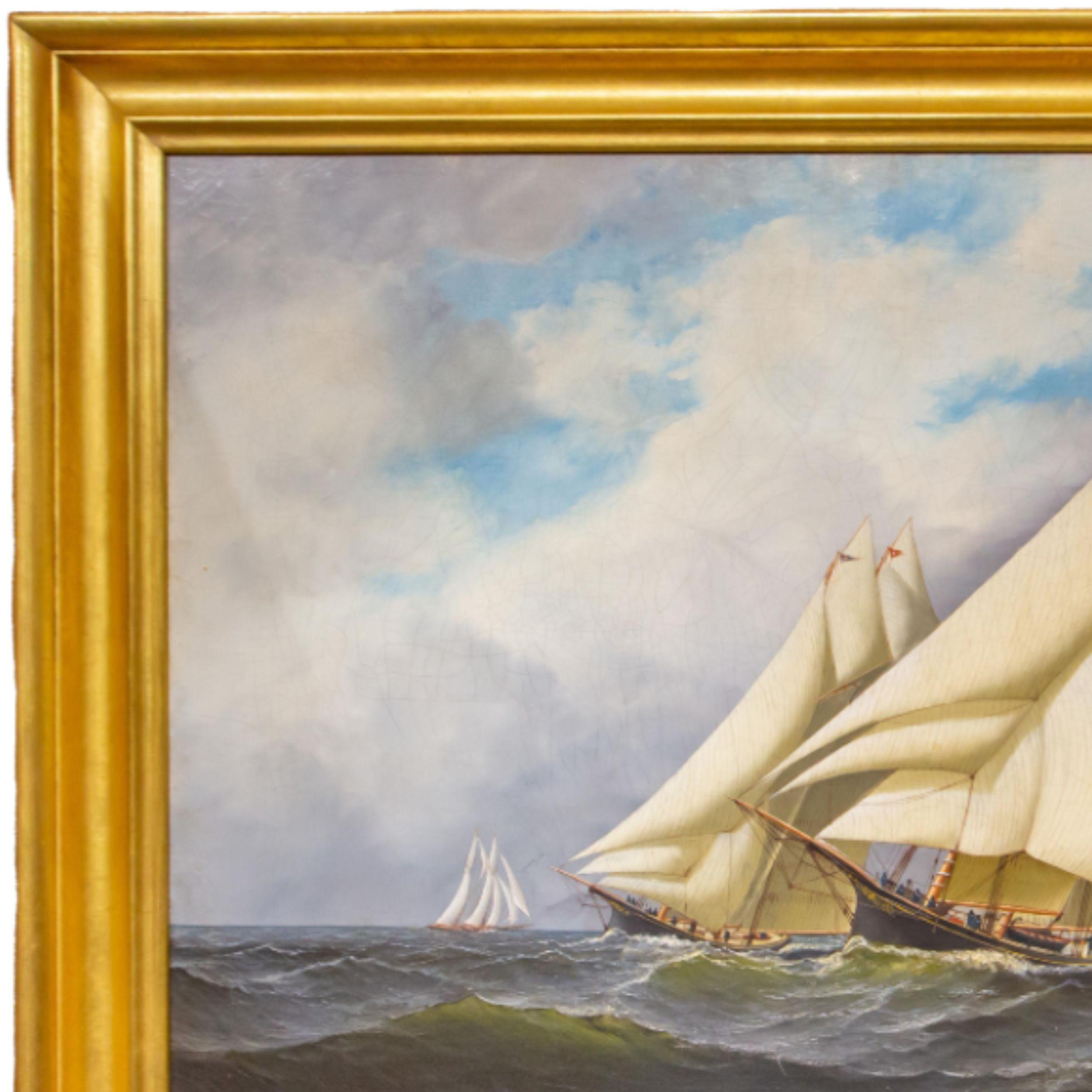 Americas Cup Race For Sale 4
