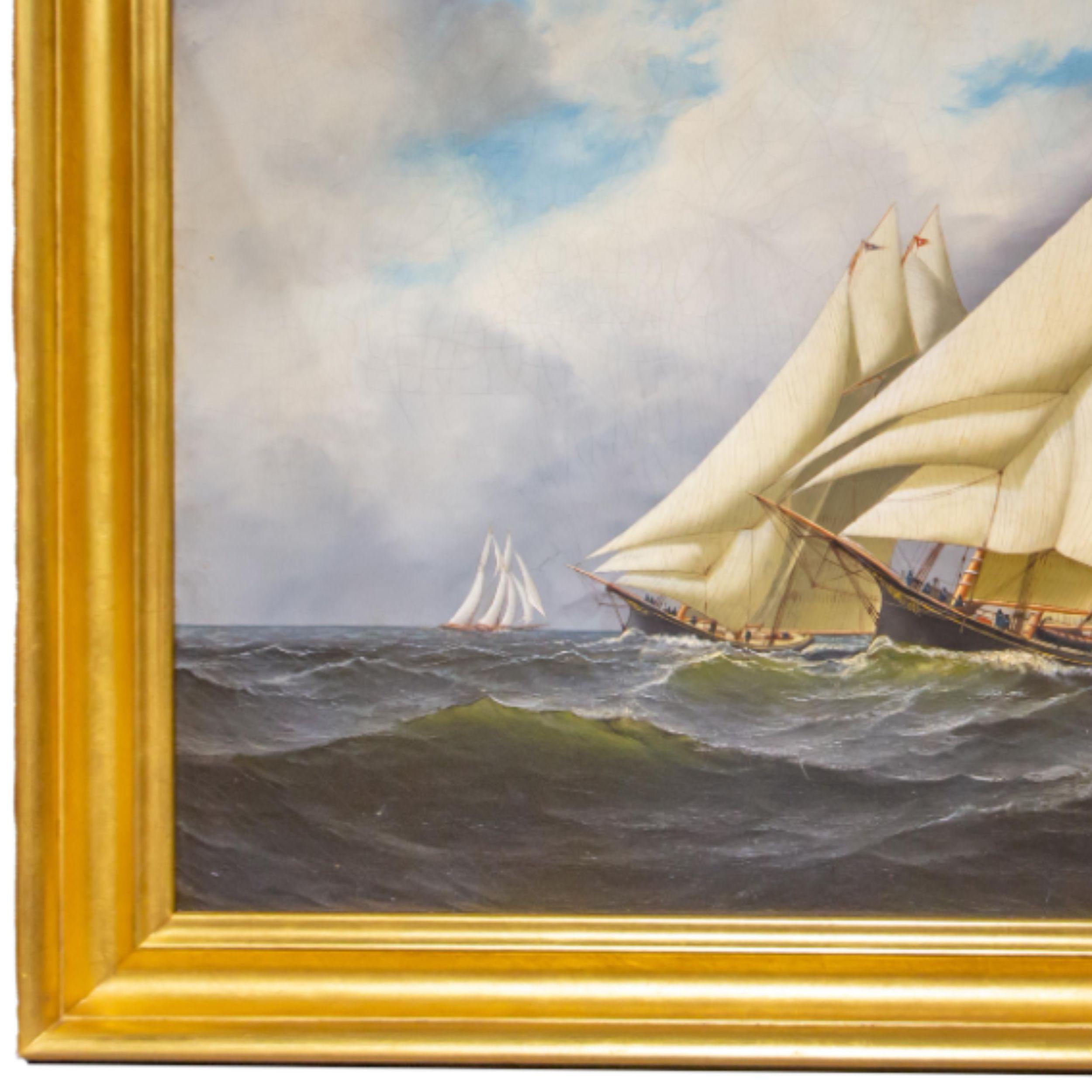 Americas Cup Race For Sale 5